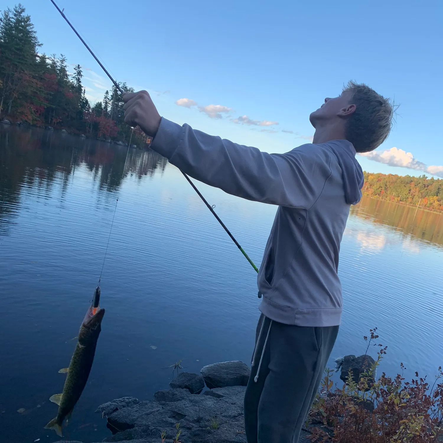 Chain pickerel caught on Fishbrain