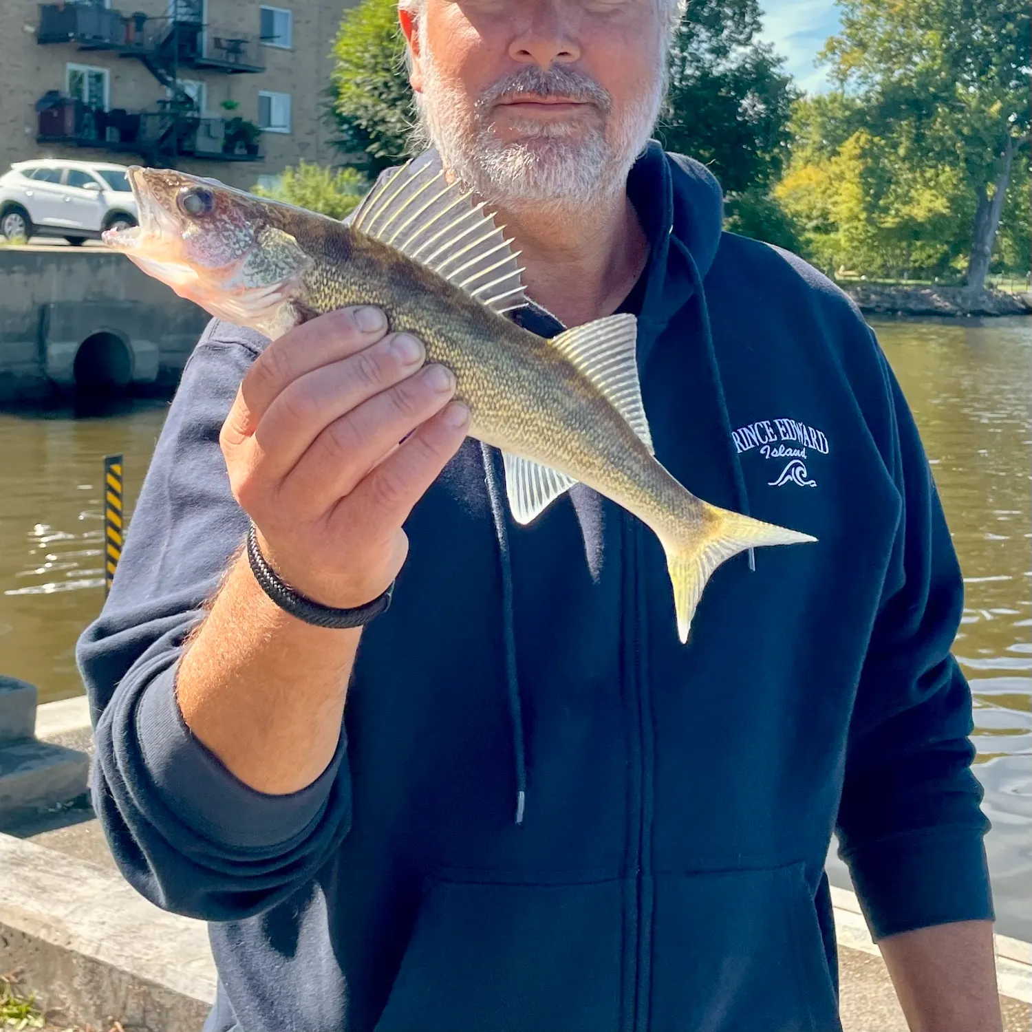 Walleye caught on Fishbrain