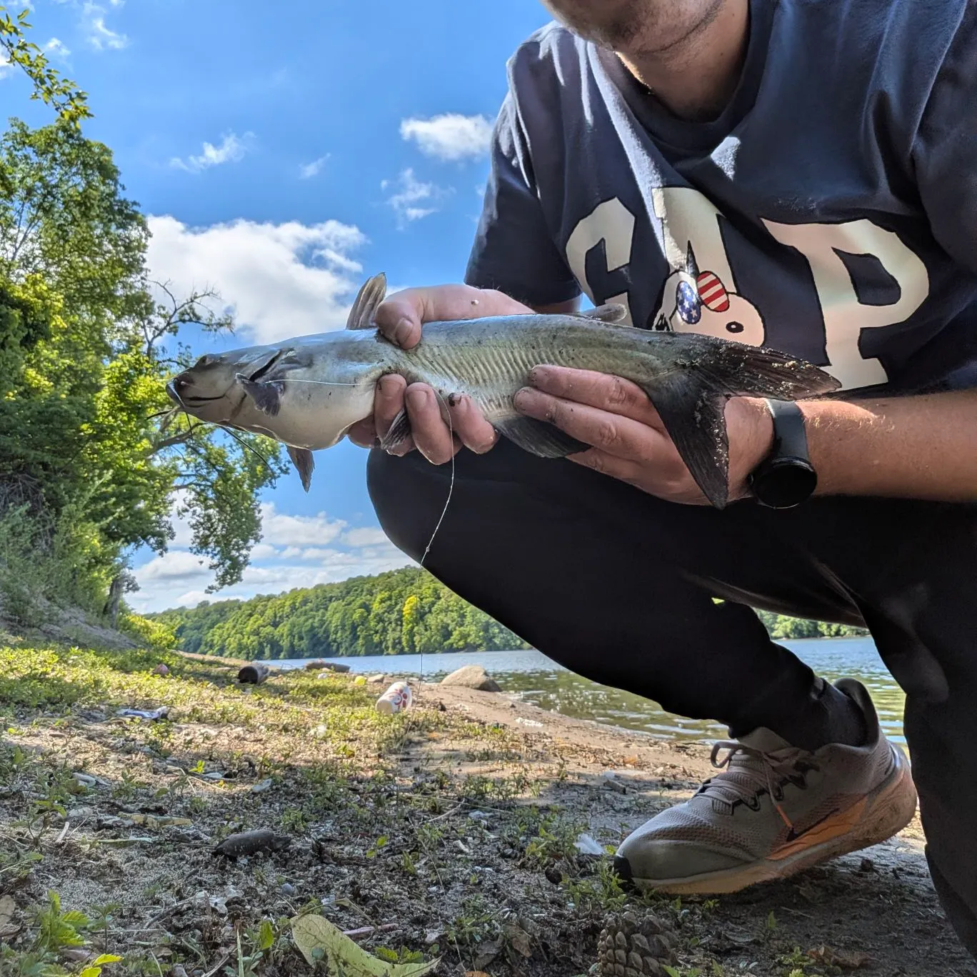 catch