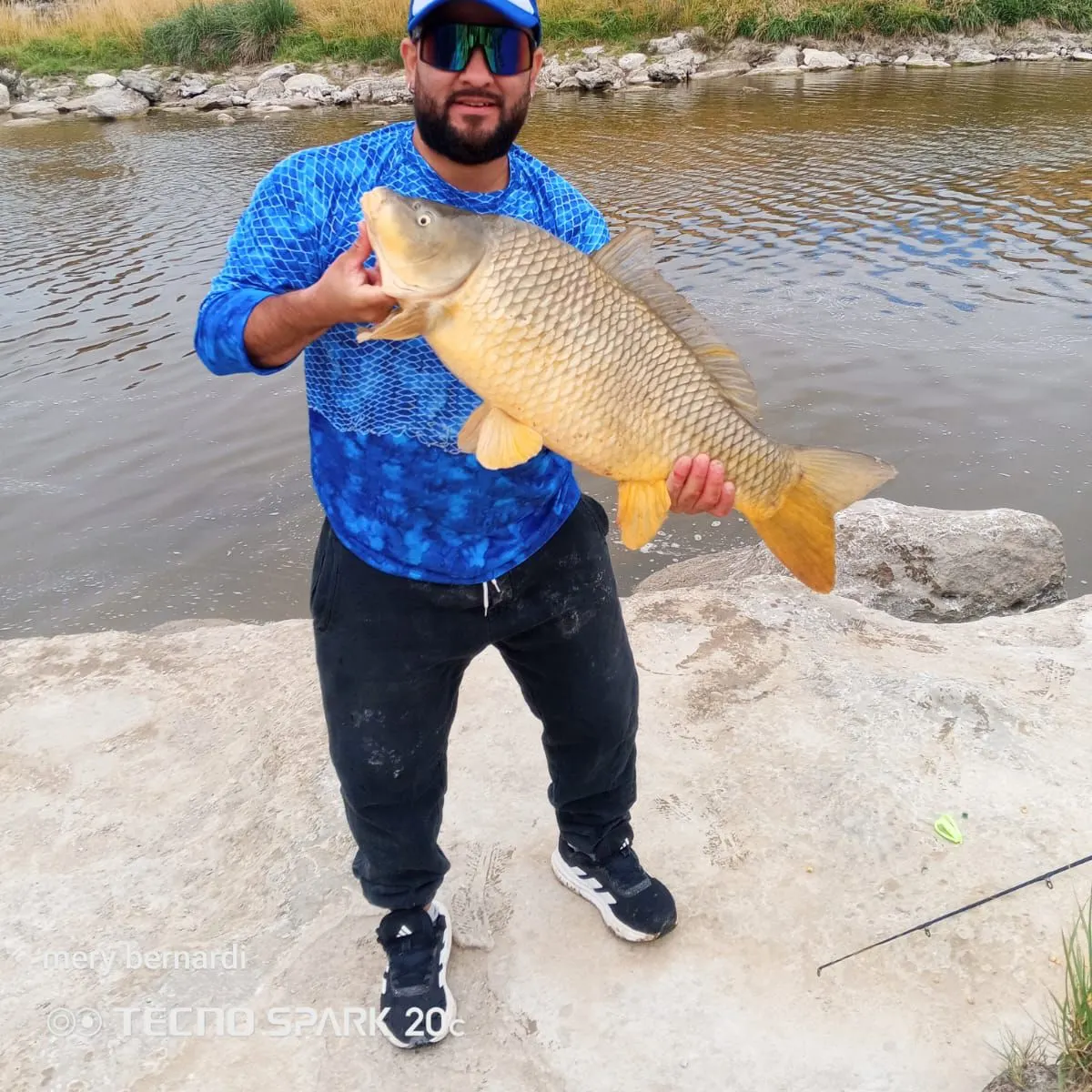 The most recent Common carp catches on Fishbrain