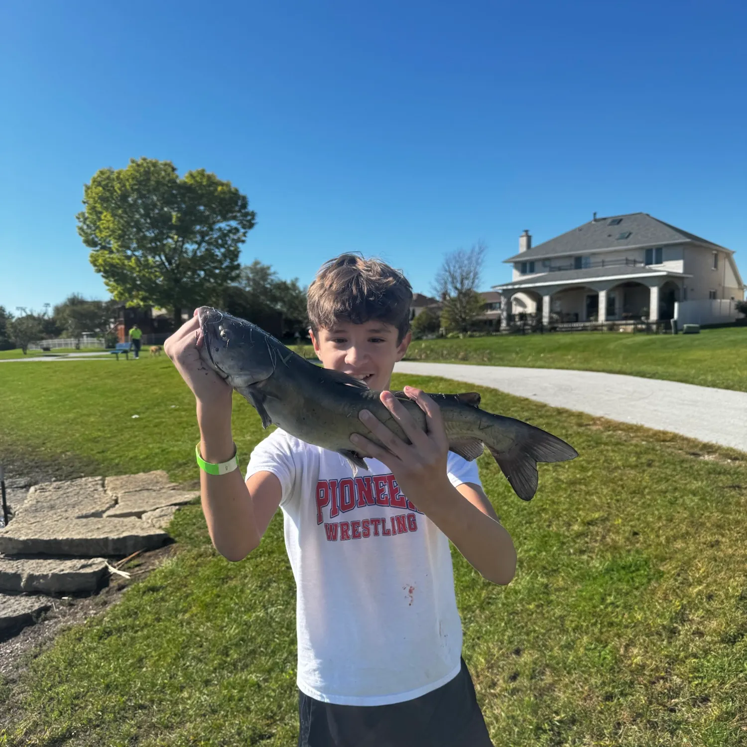 Channel catfish caught on Fishbrain