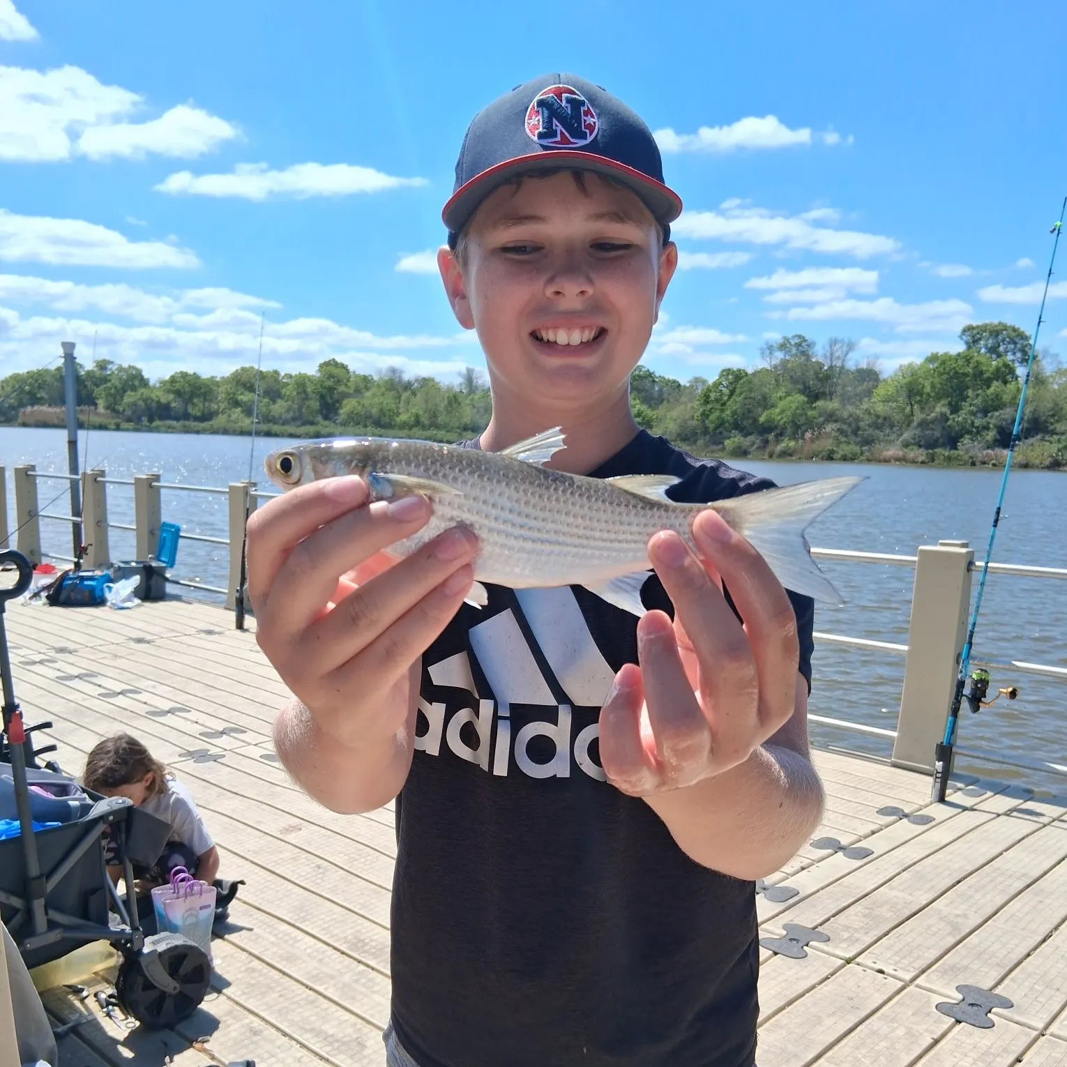 The most recent Striped mullet catches on Fishbrain