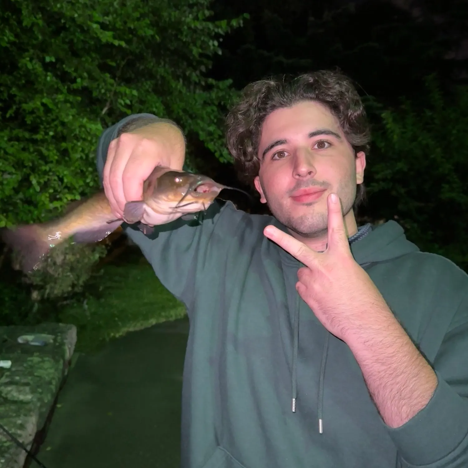 Brown bullhead caught on Fishbrain
