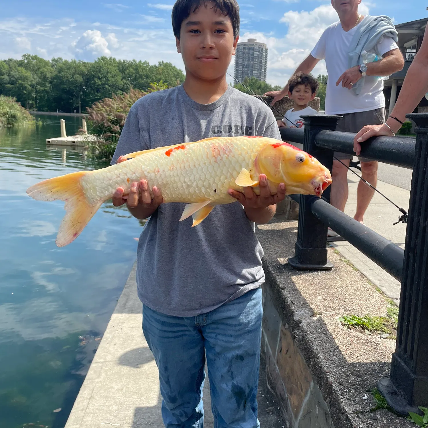 Koi carp caught on Fishbrain