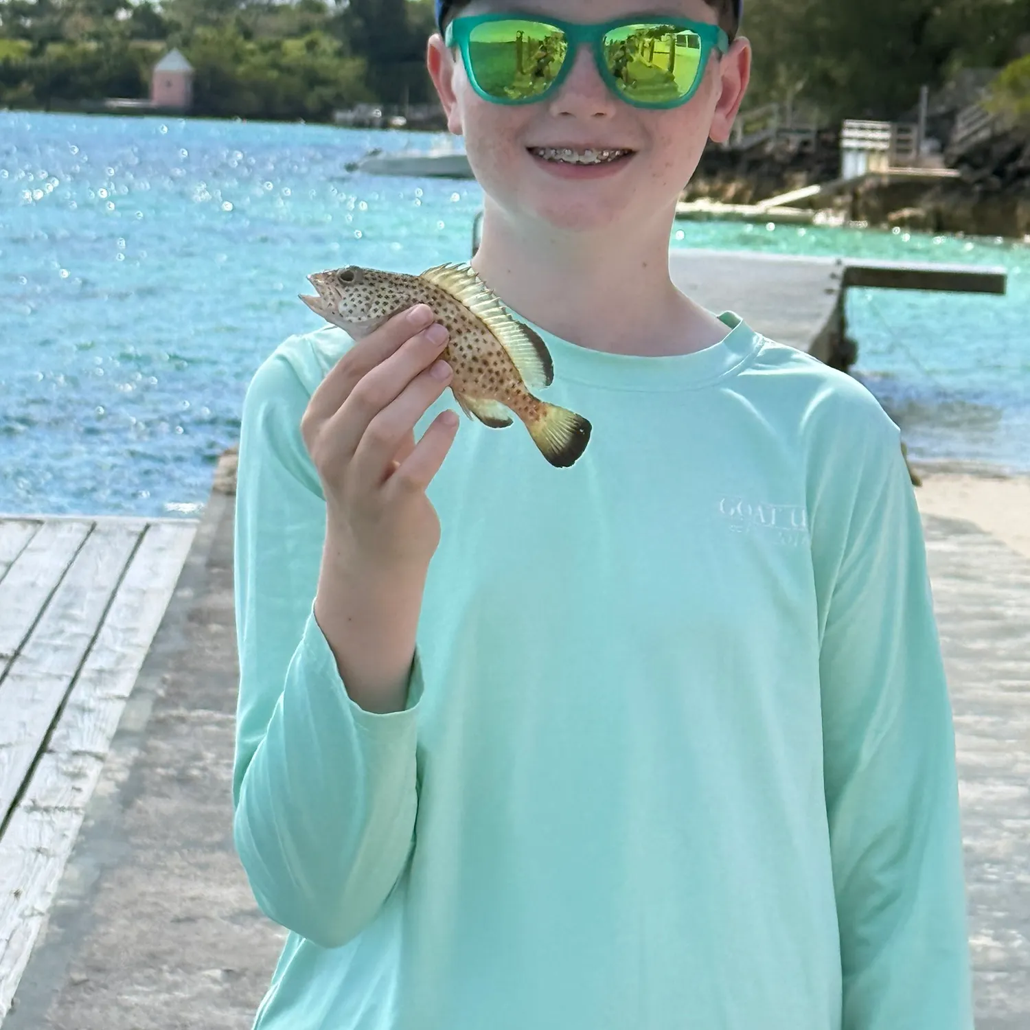 The most recent Rock hind catches on Fishbrain