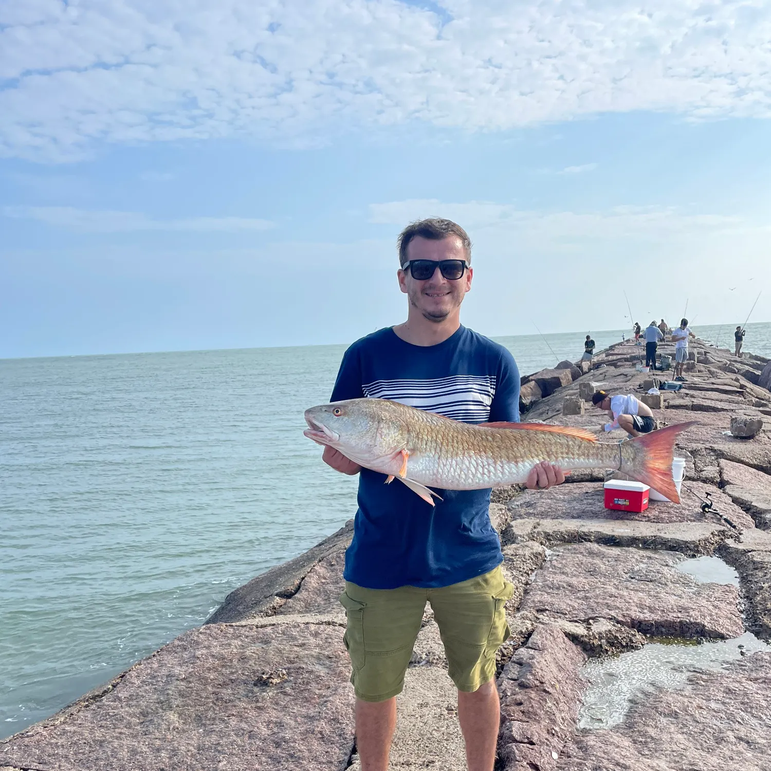 The most recent Red drum catches on Fishbrain