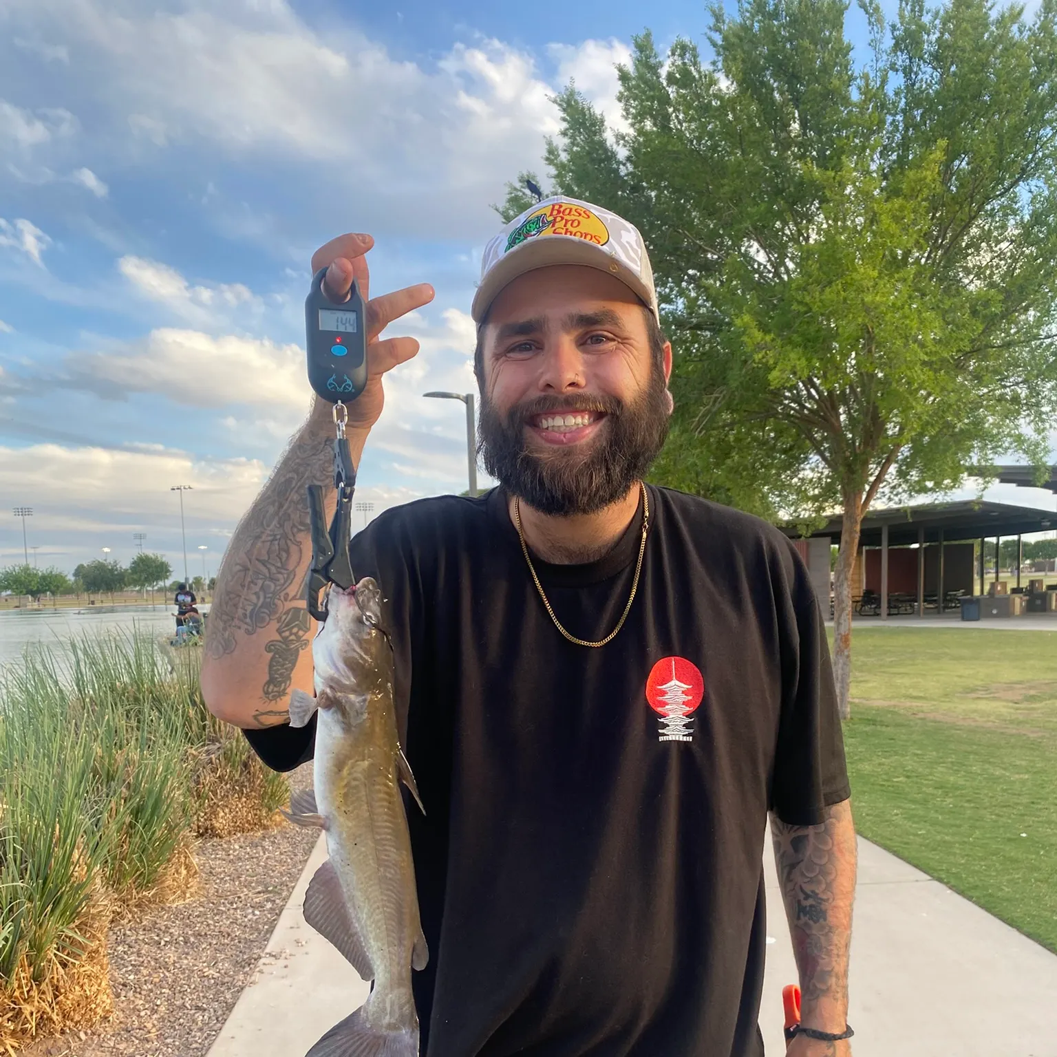 recently logged catches