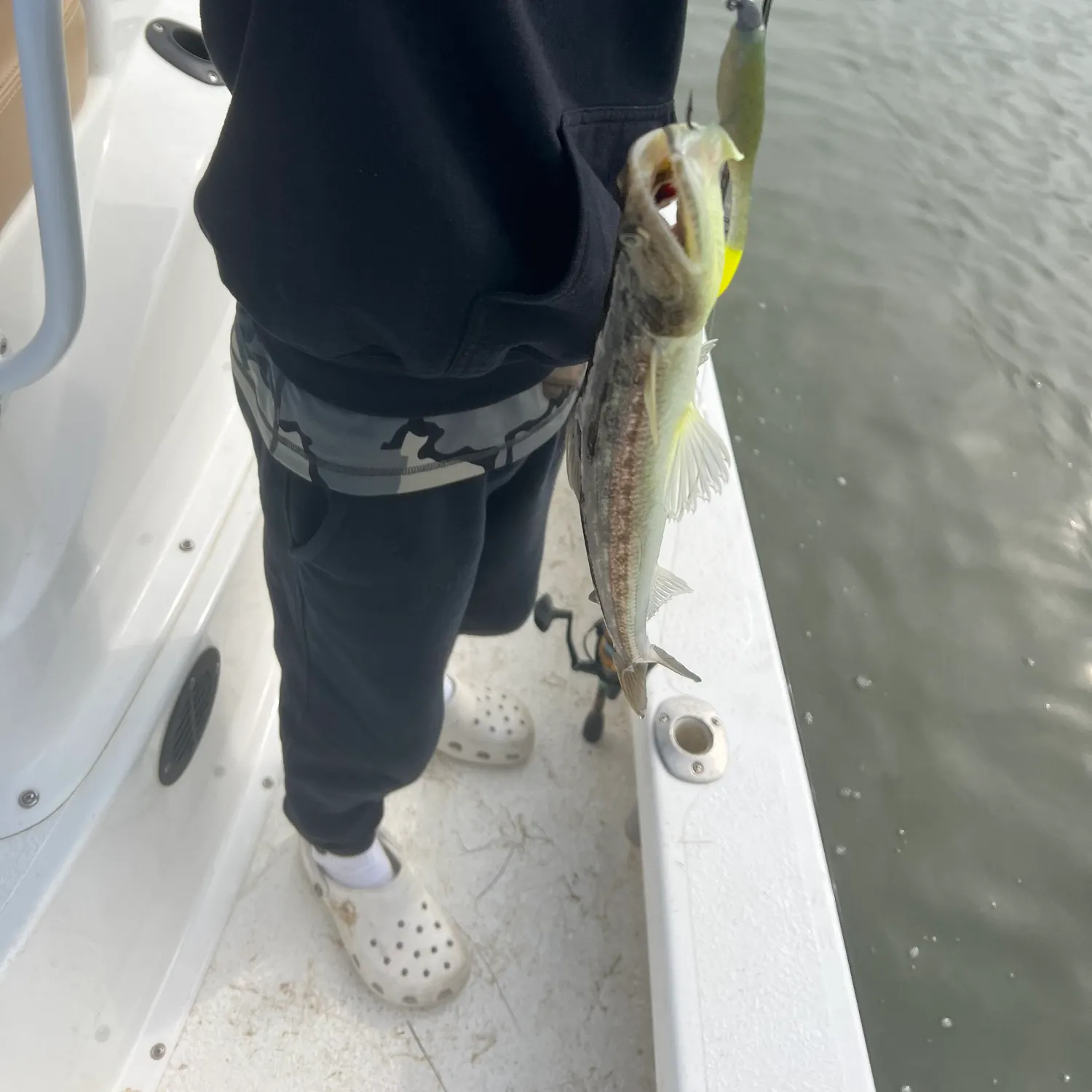 The most recent Inshore lizardfish catches on Fishbrain