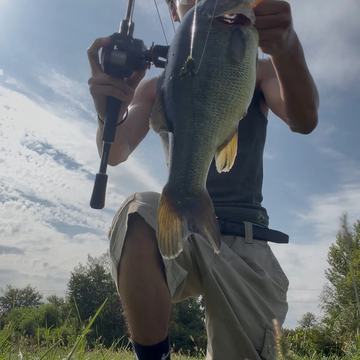 Largemouth bass caught on Fishbrain