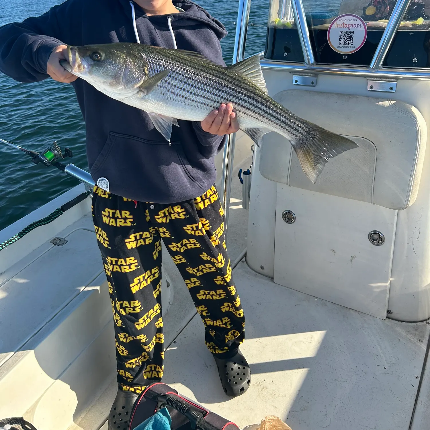 Striped bass caught on Fishbrain