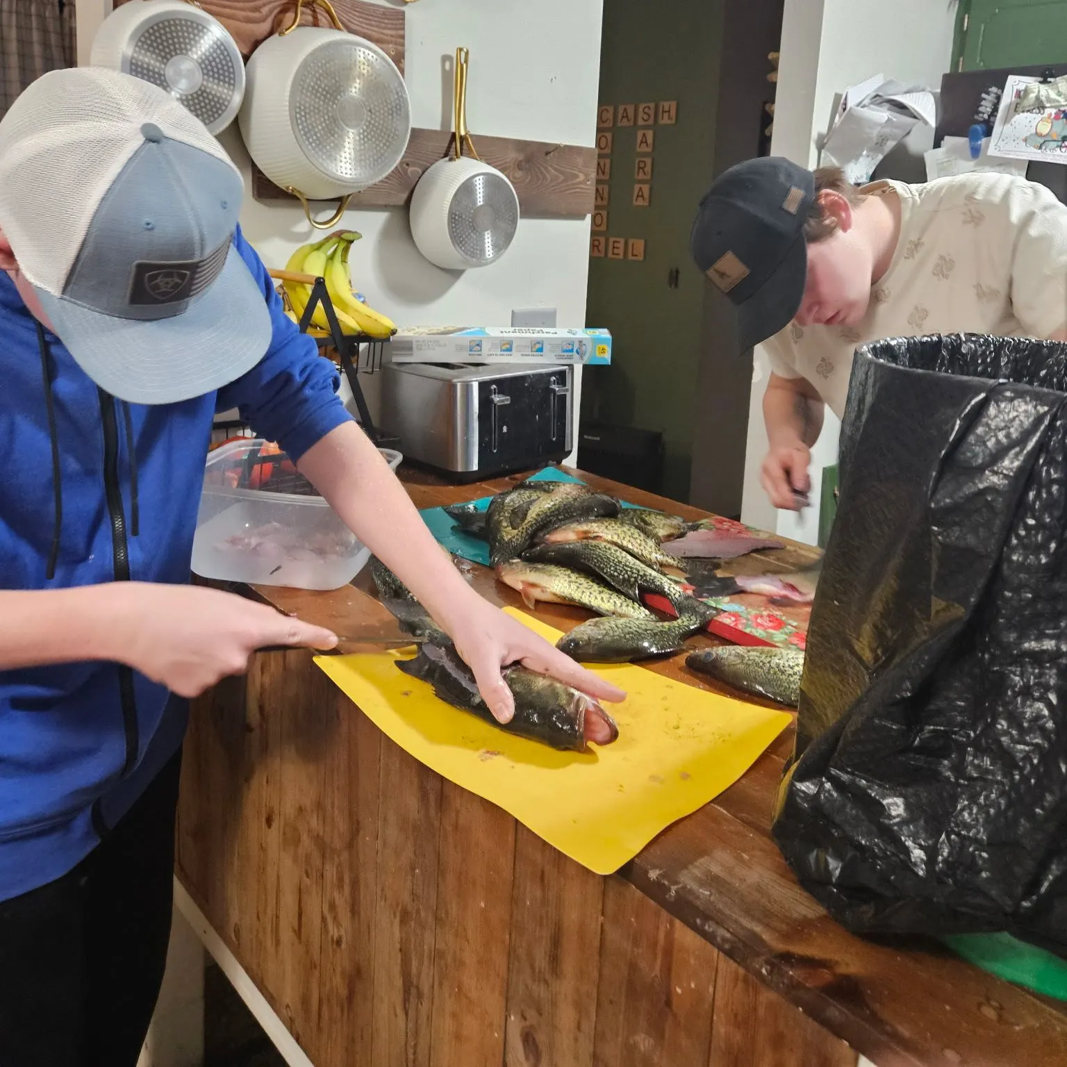 recently logged catches