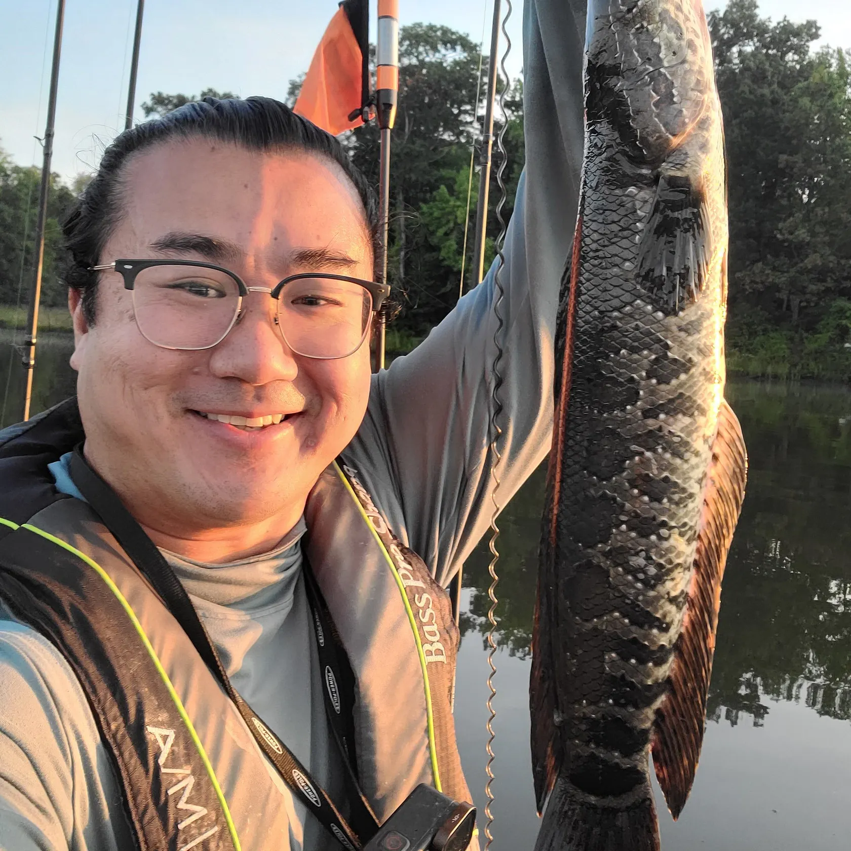 Northern snakehead caught on Fishbrain