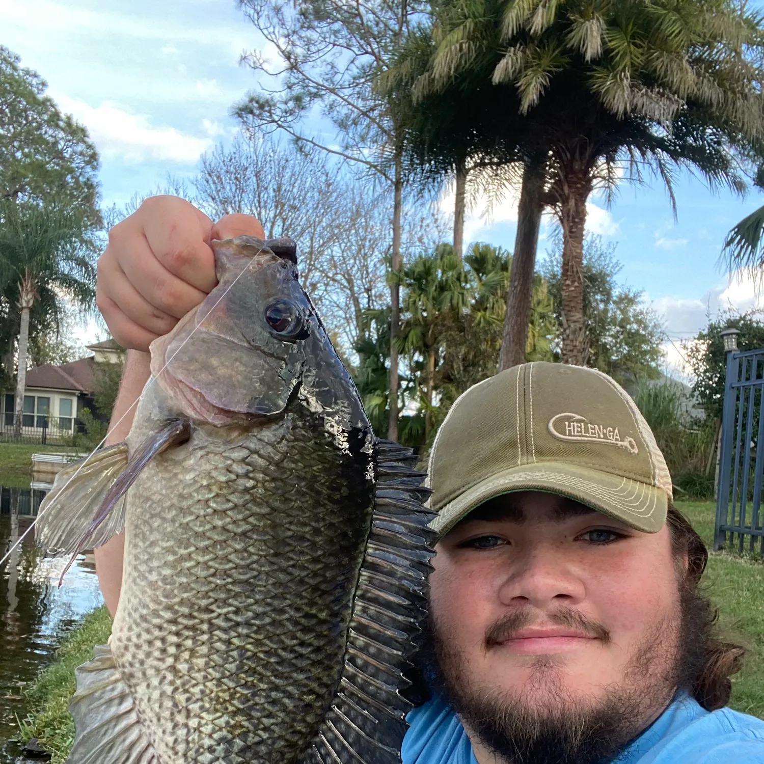 The most recent Nile tilapia catches on Fishbrain