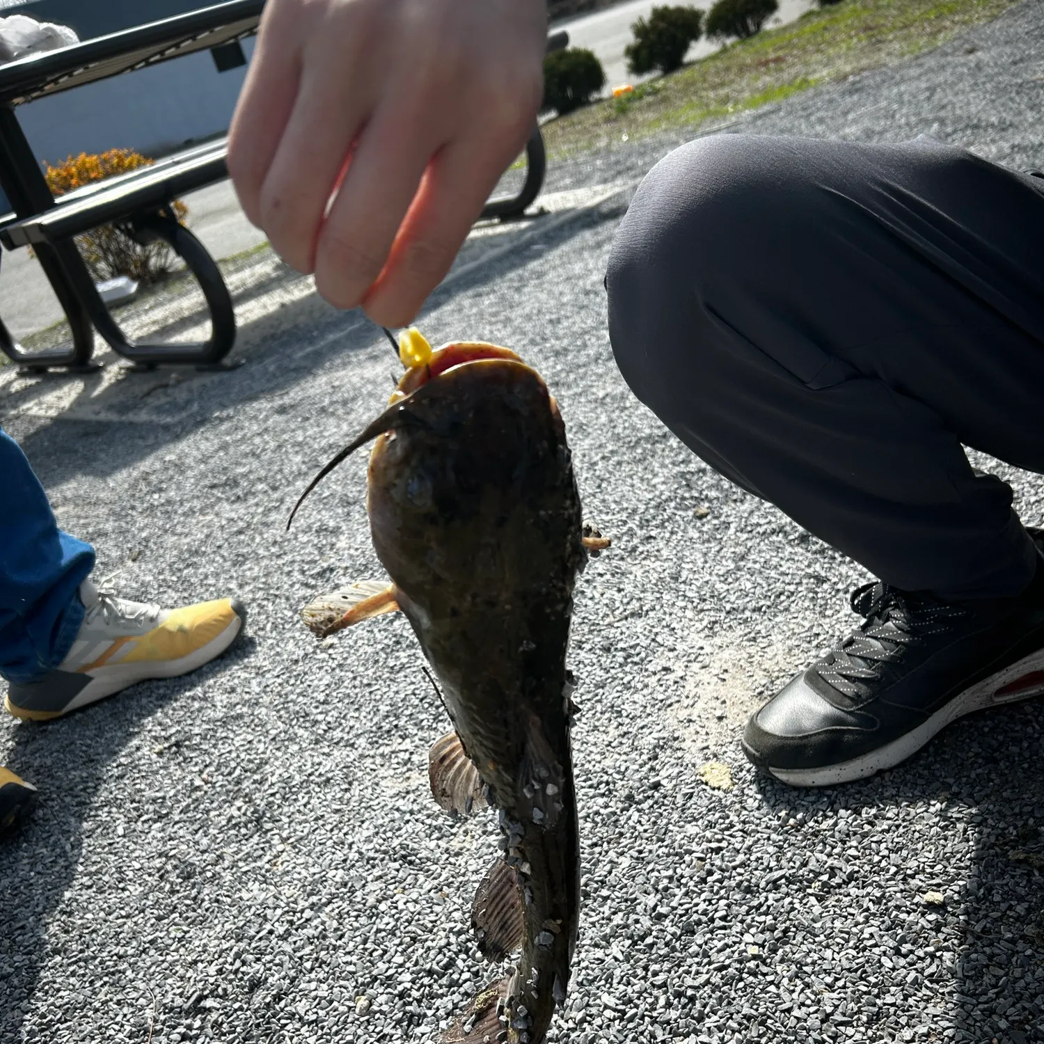 catch