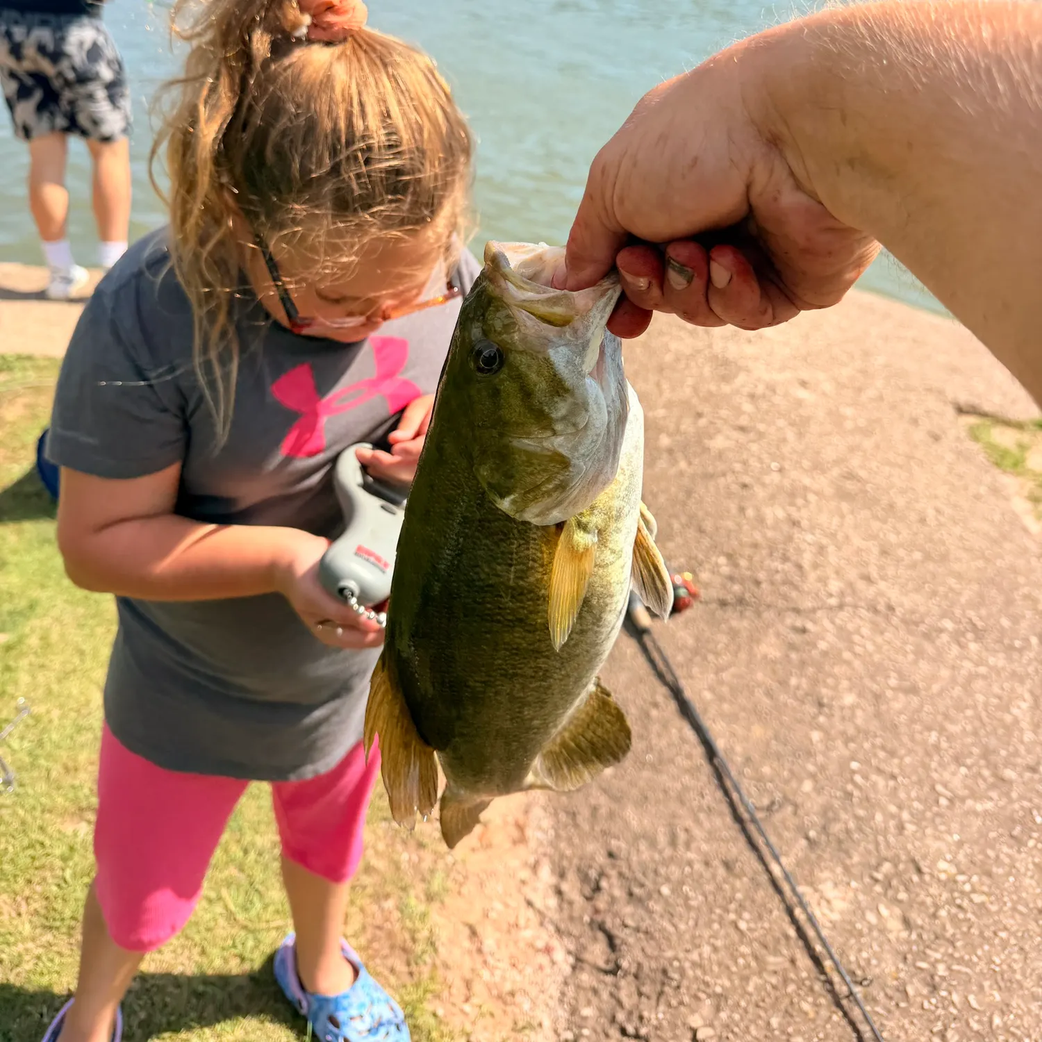 Smallmouth bass caught on Fishbrain