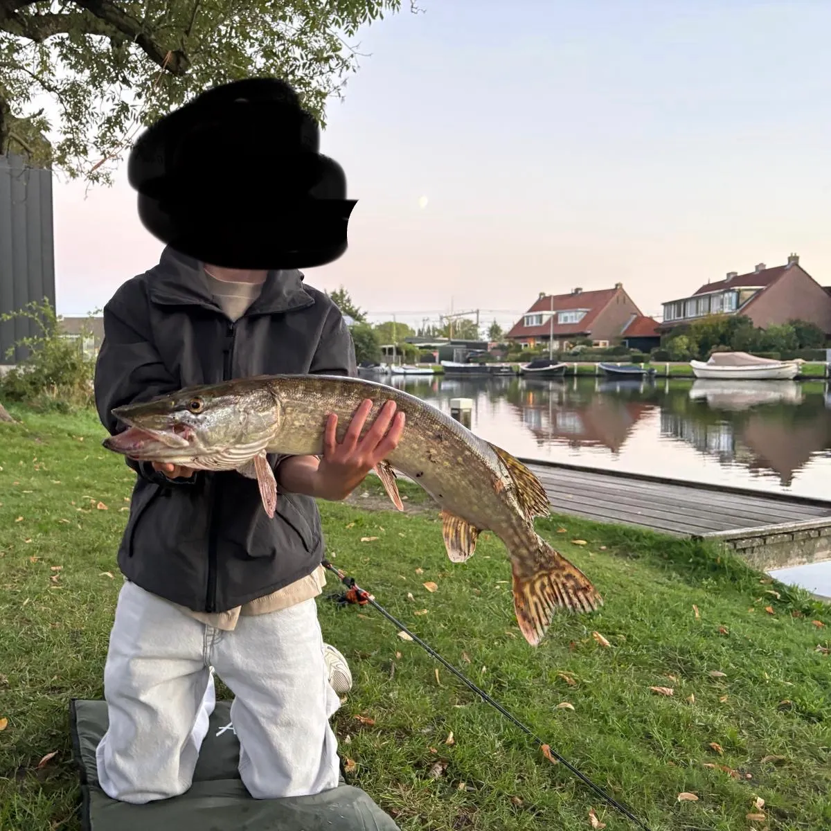 Northern pike caught on Fishbrain