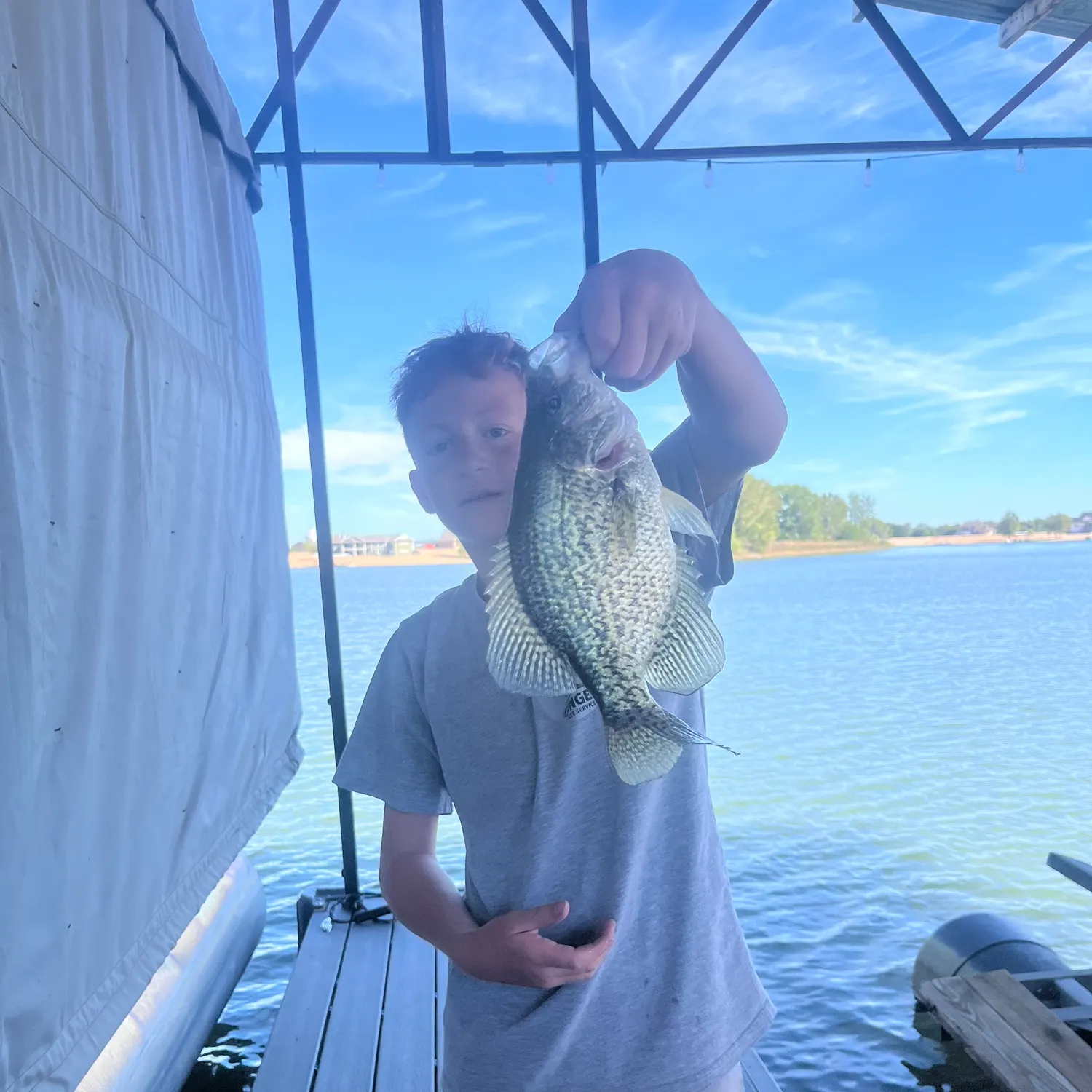 Black crappie caught on Fishbrain