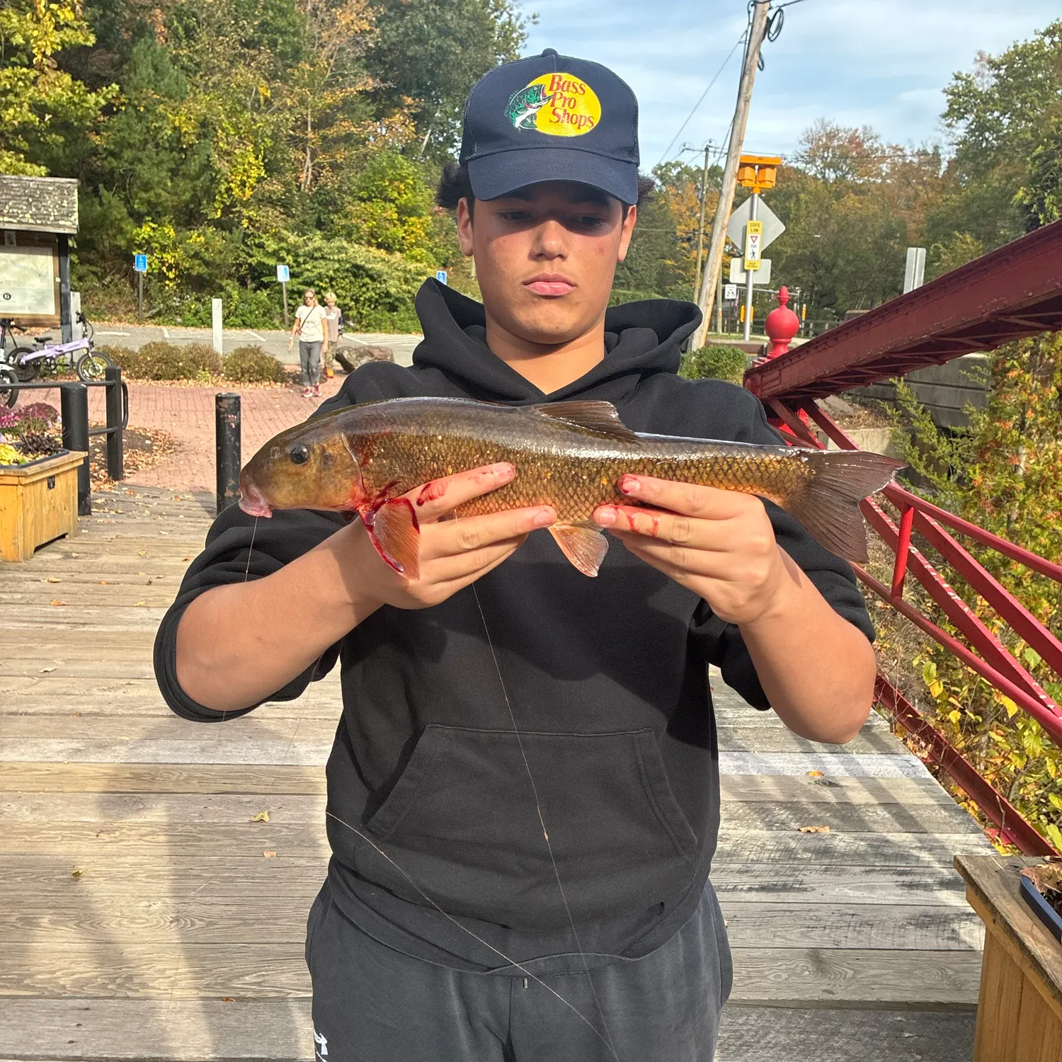 White sucker caught on Fishbrain