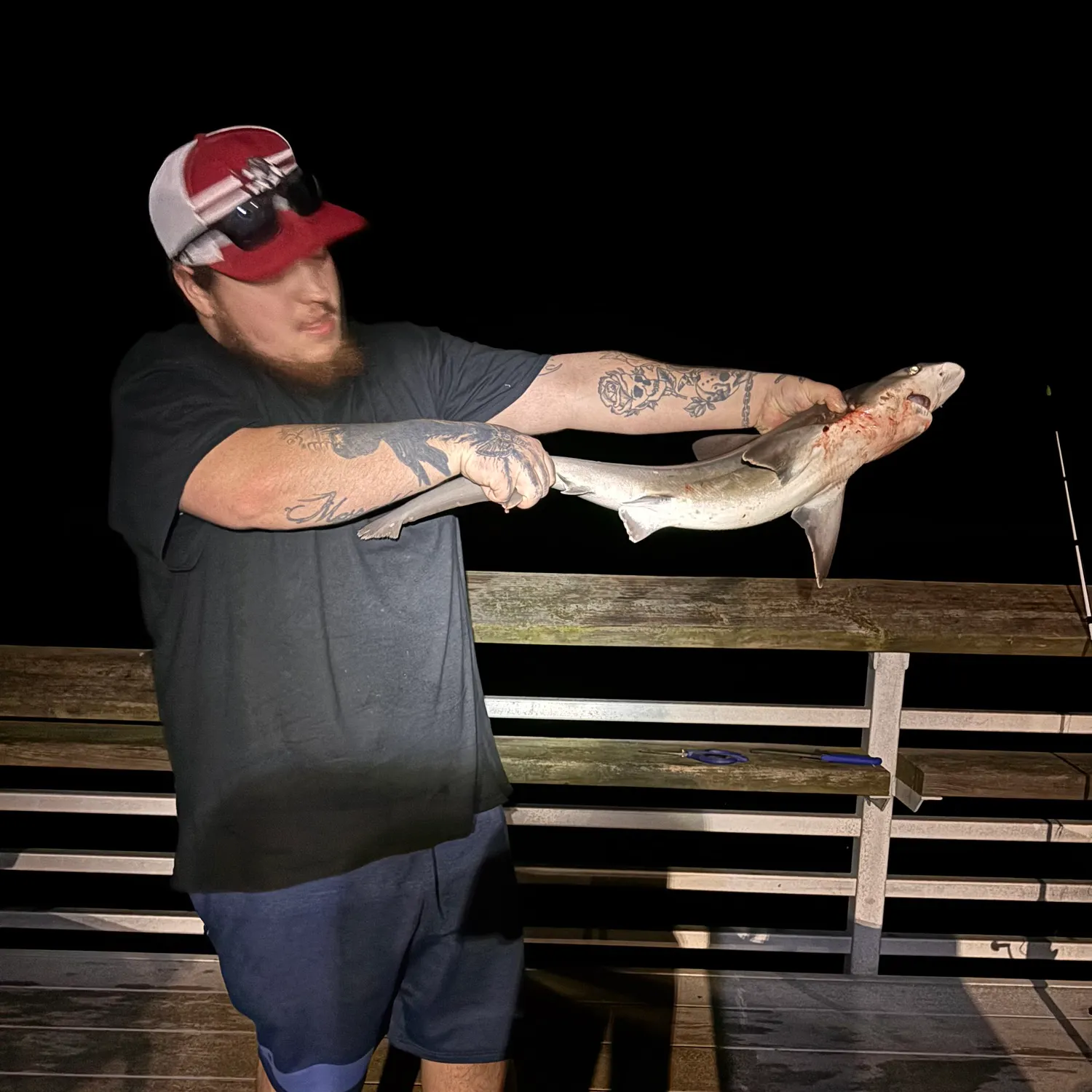 Blacktip shark caught on Fishbrain
