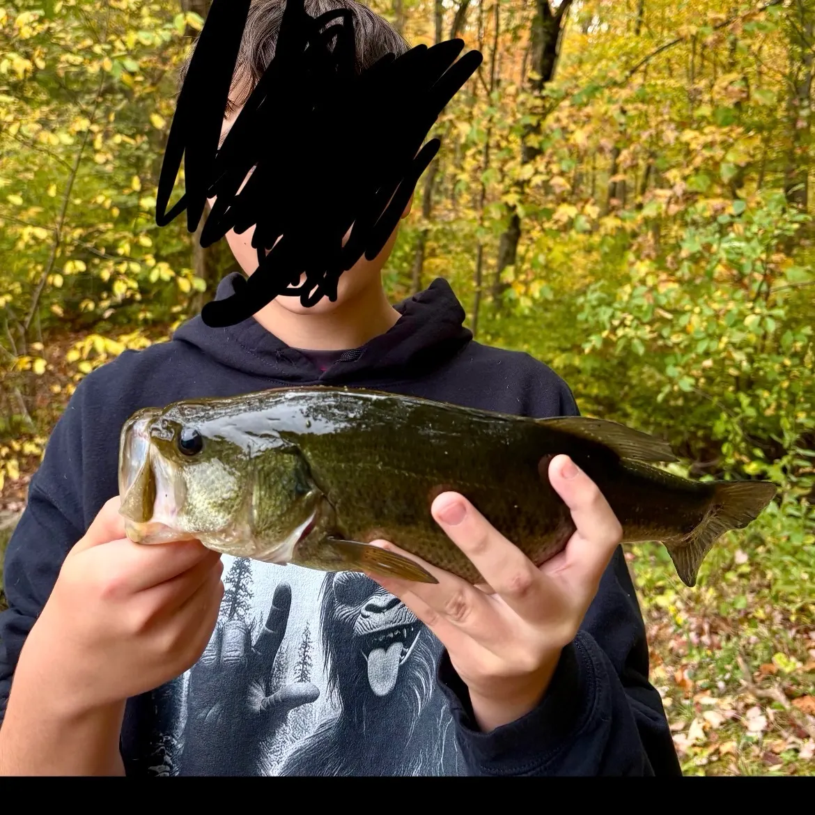 Largemouth bass caught on Fishbrain