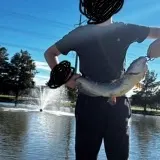 Channel catfish caught on Fishbrain
