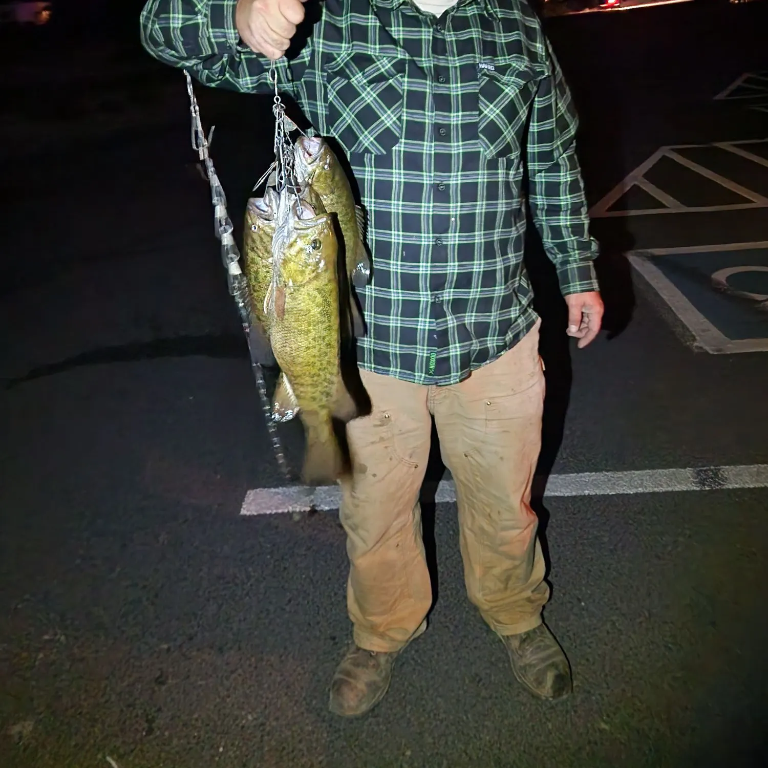 Smallmouth bass caught on Fishbrain
