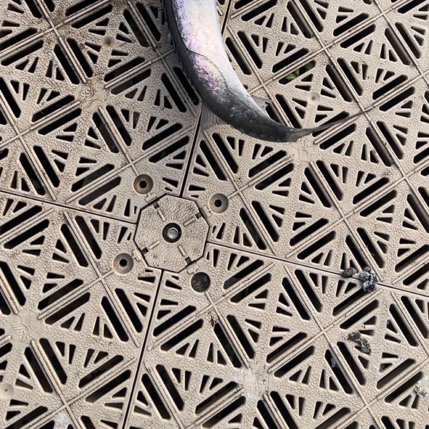 most liked catch image
