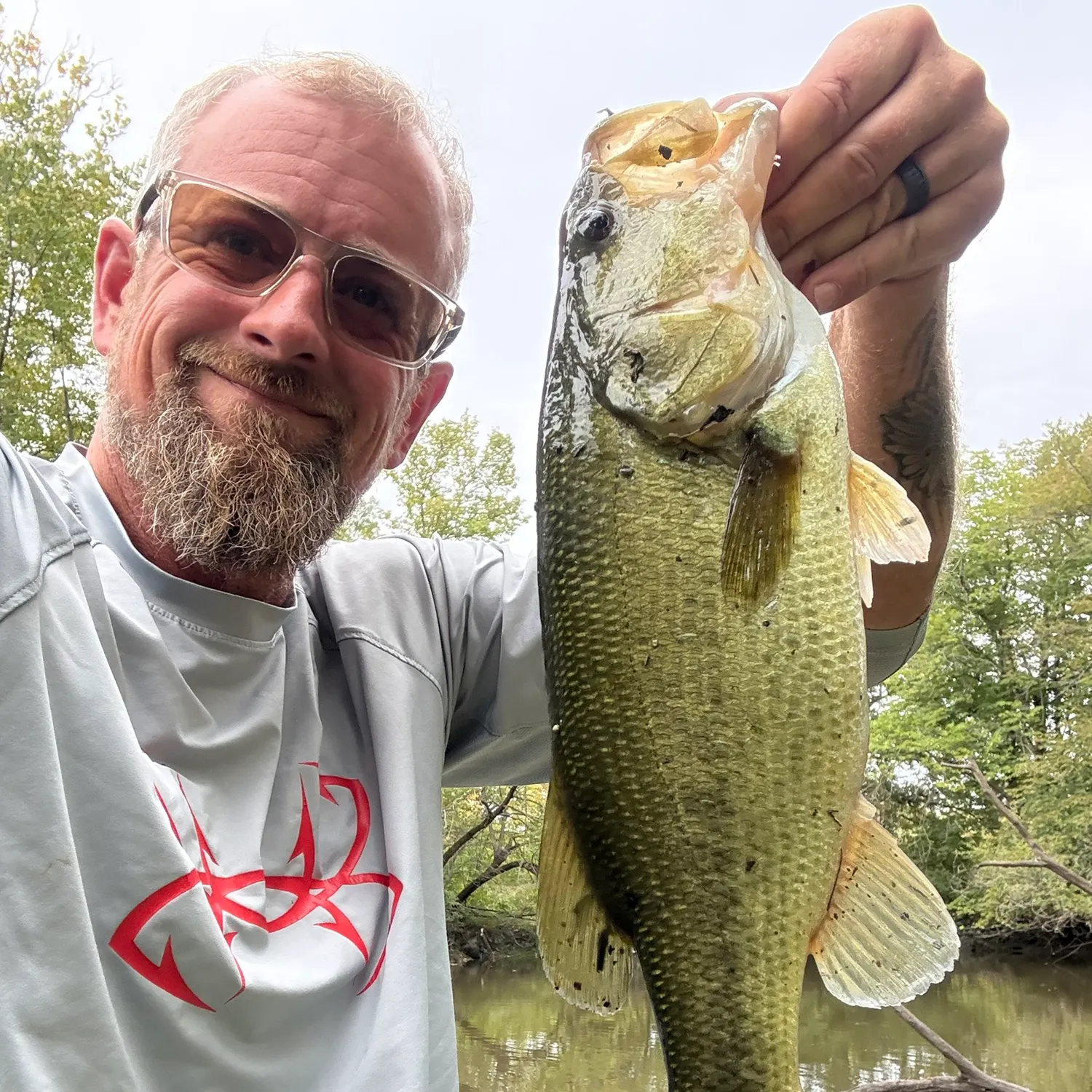 Largemouth bass caught on Fishbrain
