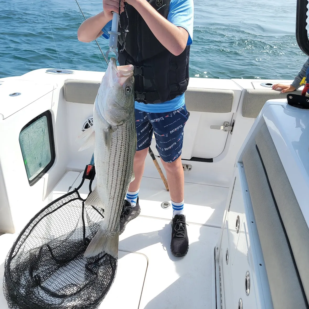 The most recent Striped bass catches on Fishbrain