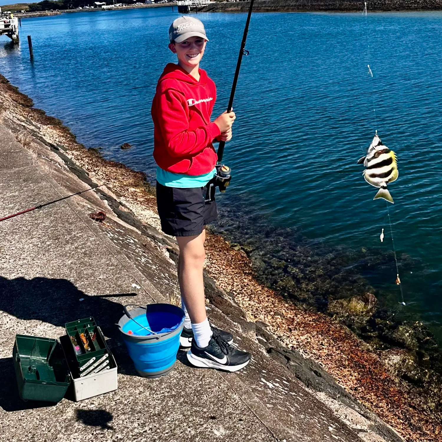 The most recent Zebra fish catches on Fishbrain