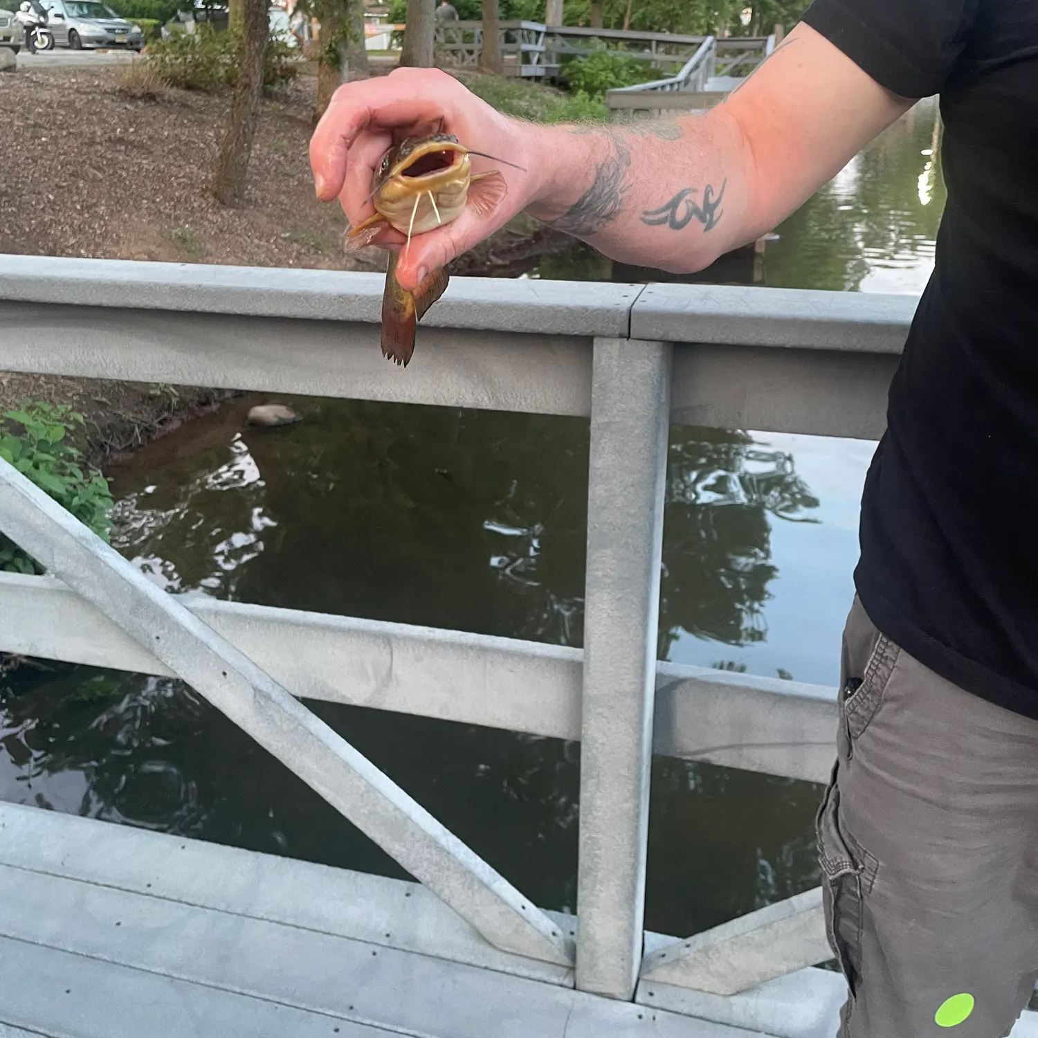 catch