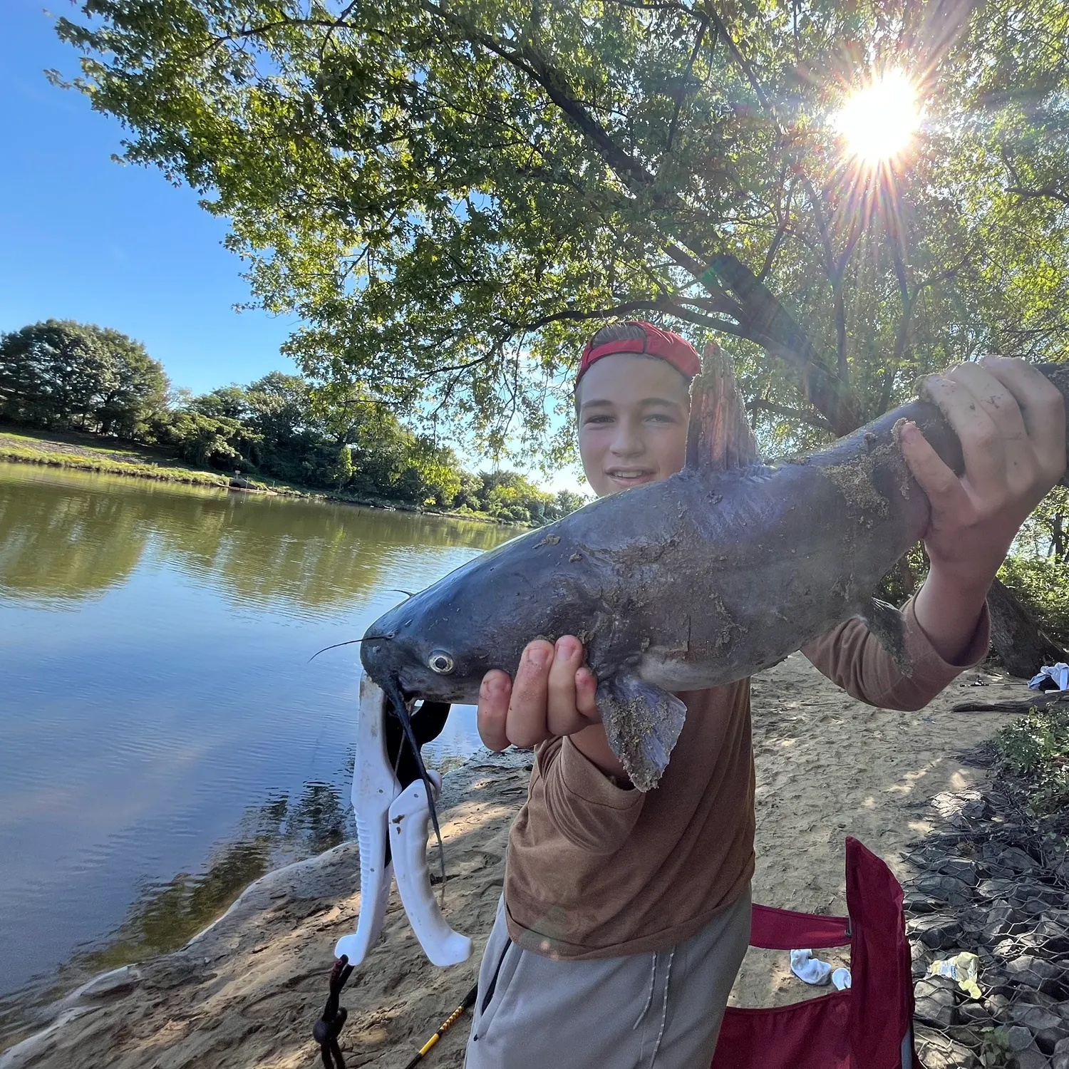 Blue catfish caught on Fishbrain