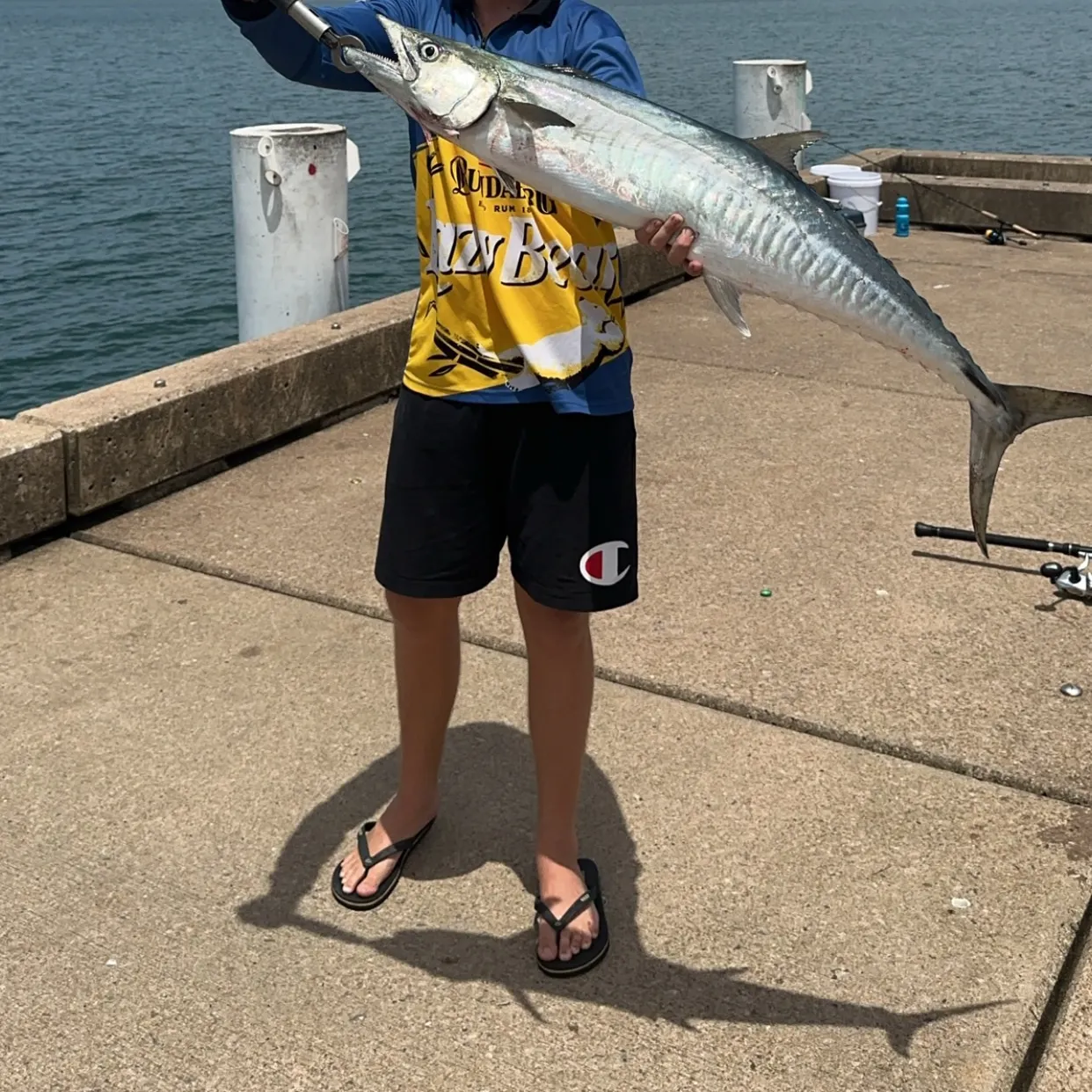 The most recent Narrow-barred Spanish mackerel catches on Fishbrain