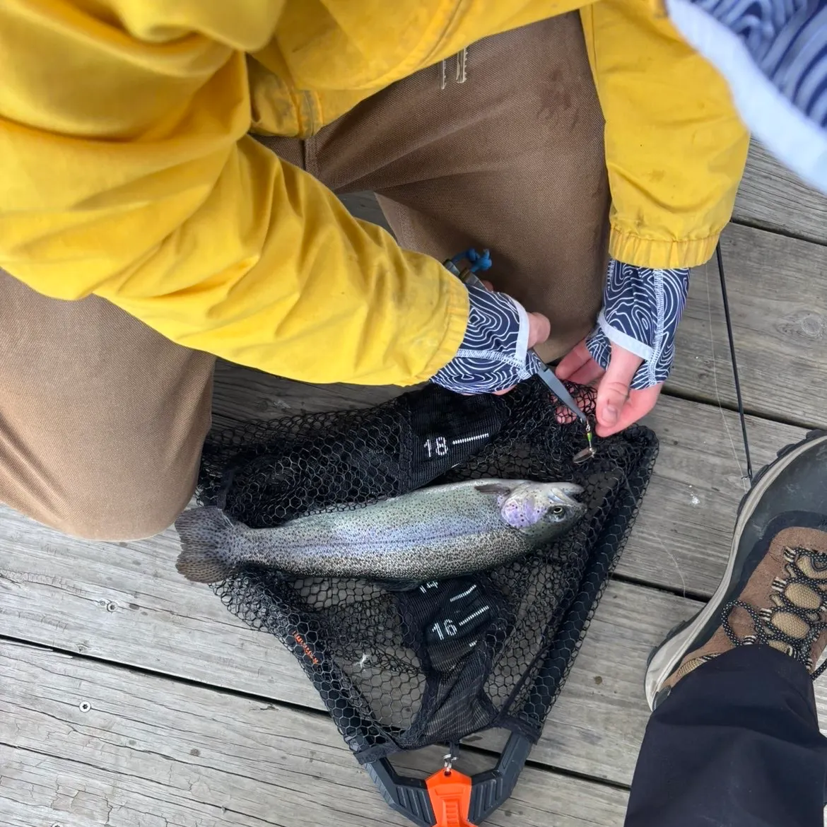 recently logged catches