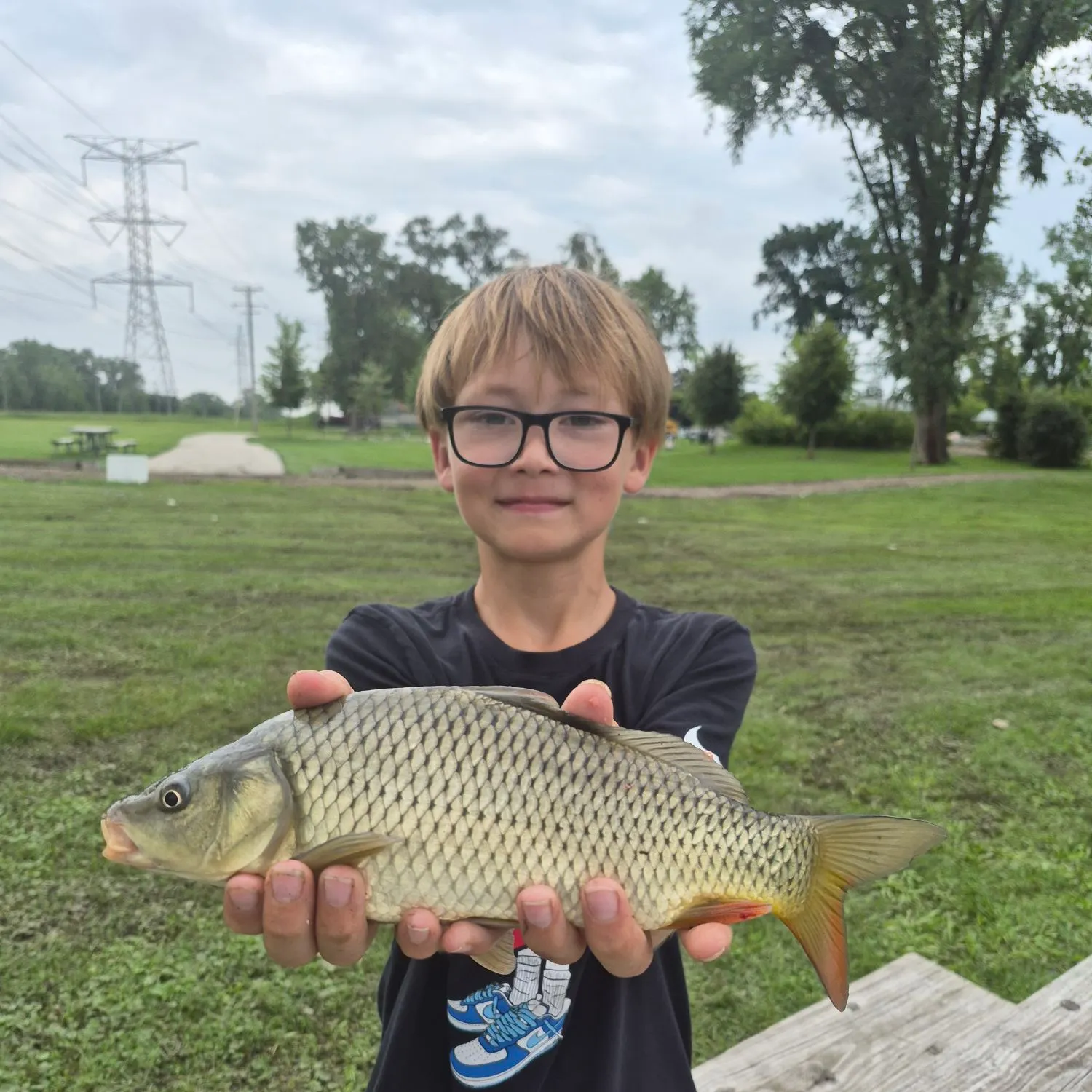 Common carp caught on Fishbrain