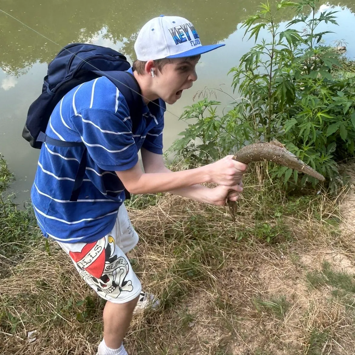 The most recent Alligator gar catches on Fishbrain