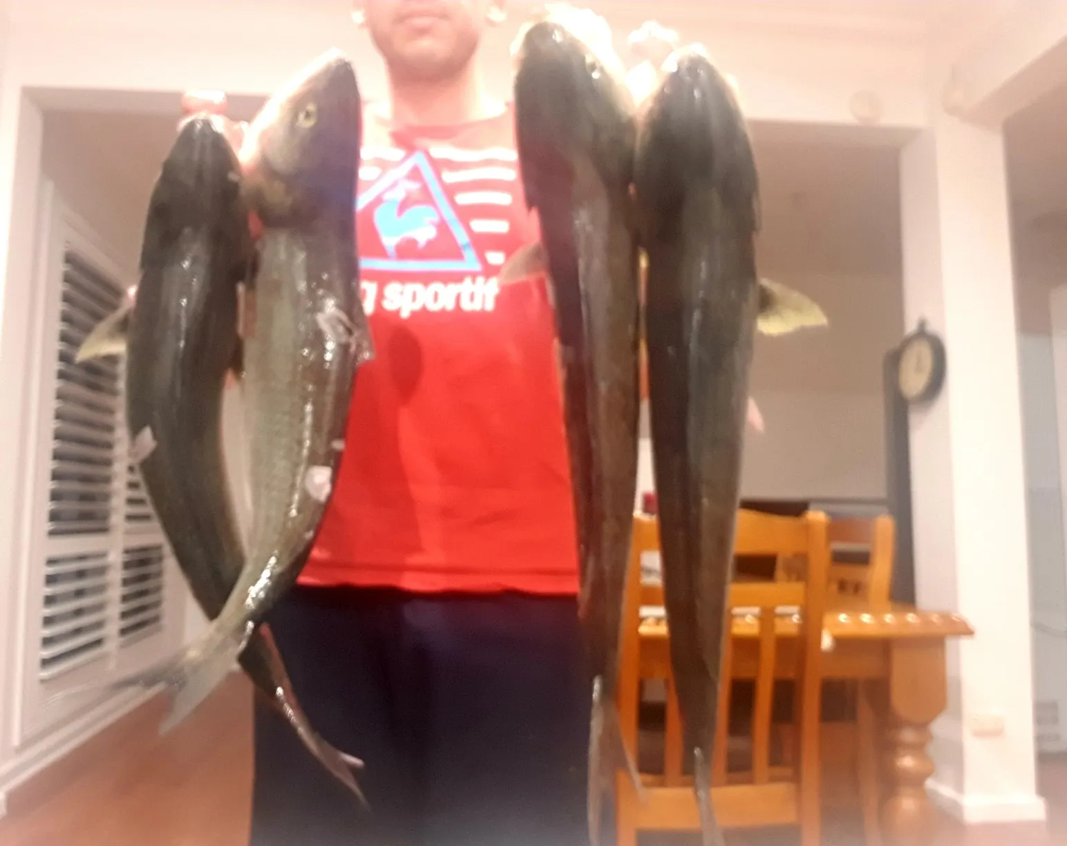 Post image from SJag