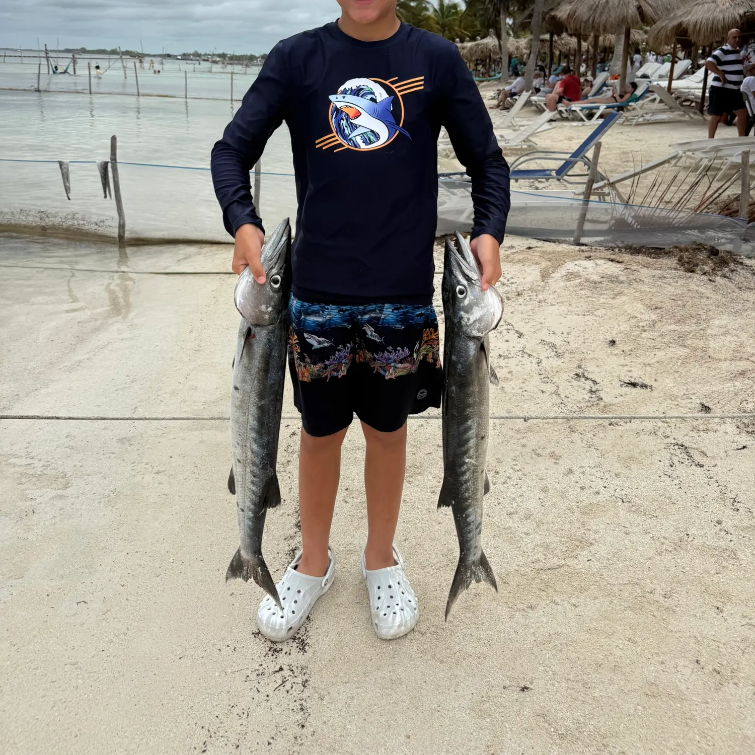 Great barracuda caught on Fishbrain