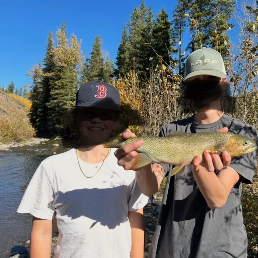 Westslope cutthroat trout caught on Fishbrain