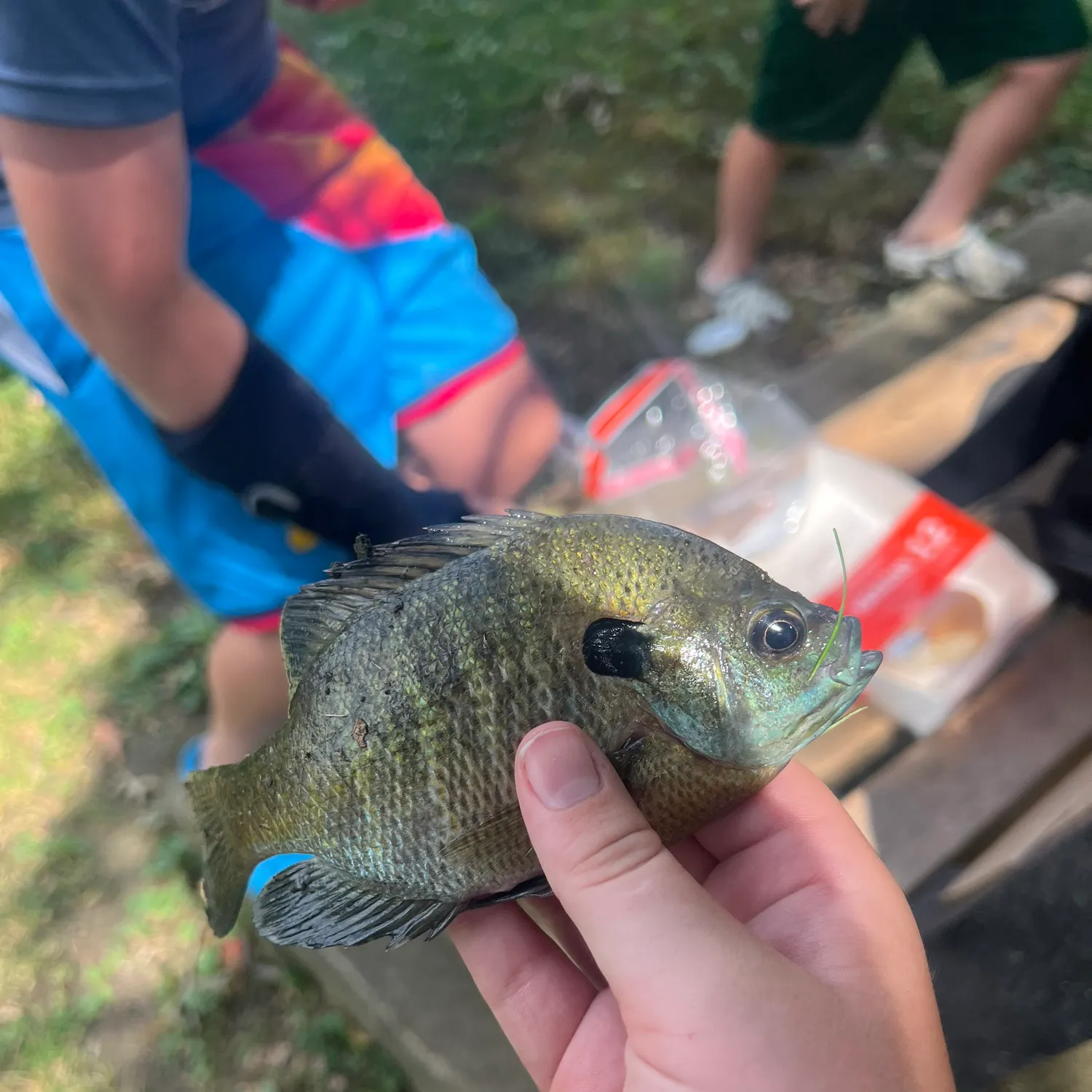 catch
