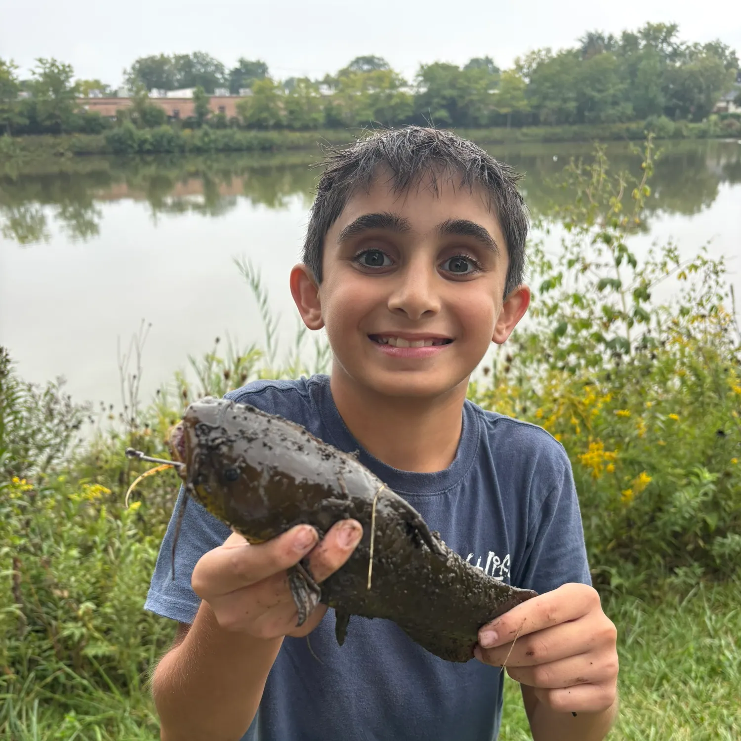 Black bullhead caught on Fishbrain