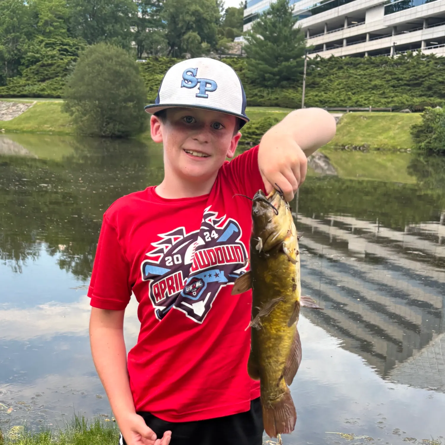 The most recent Yellow bullhead catches on Fishbrain