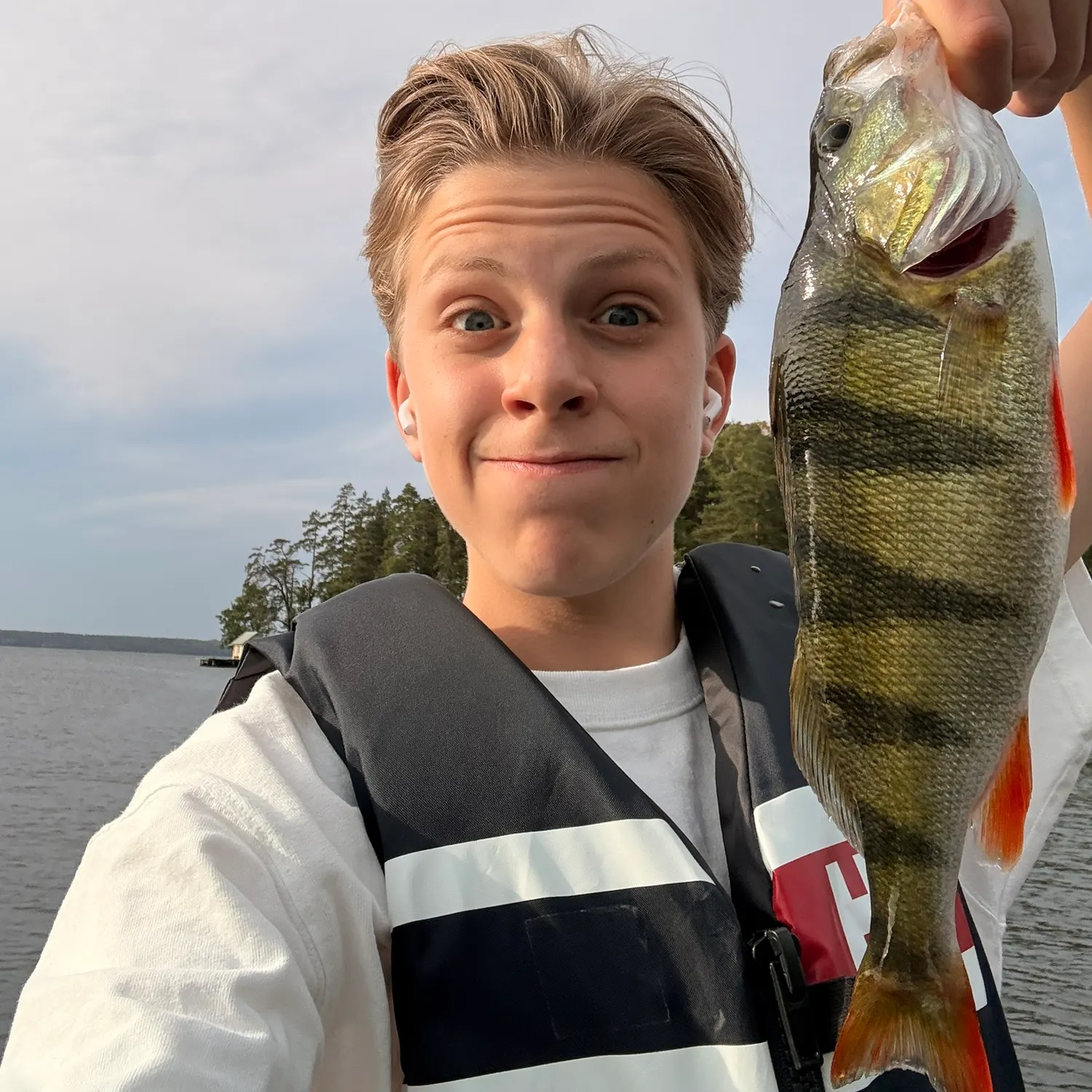 European perch caught on Fishbrain