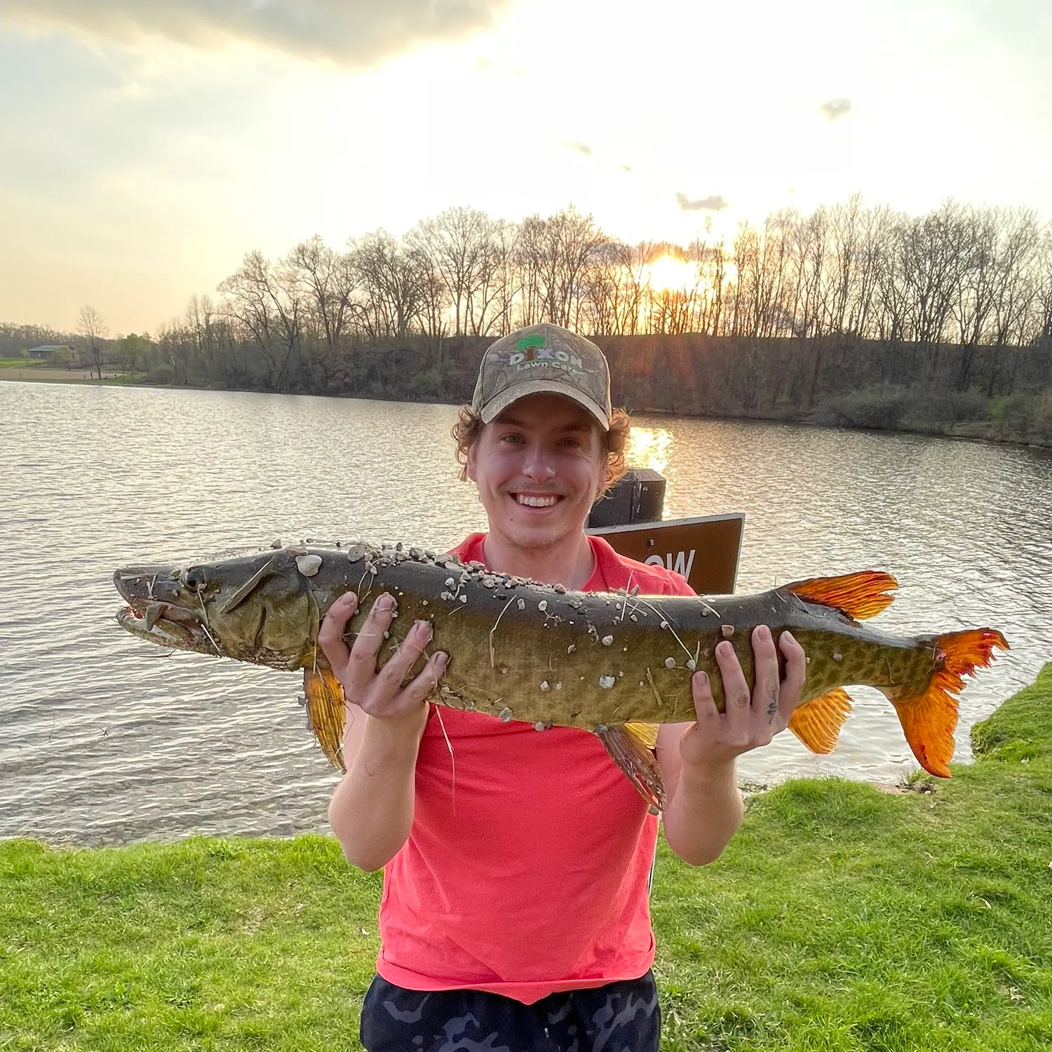 The most recent Muskellunge catches on Fishbrain