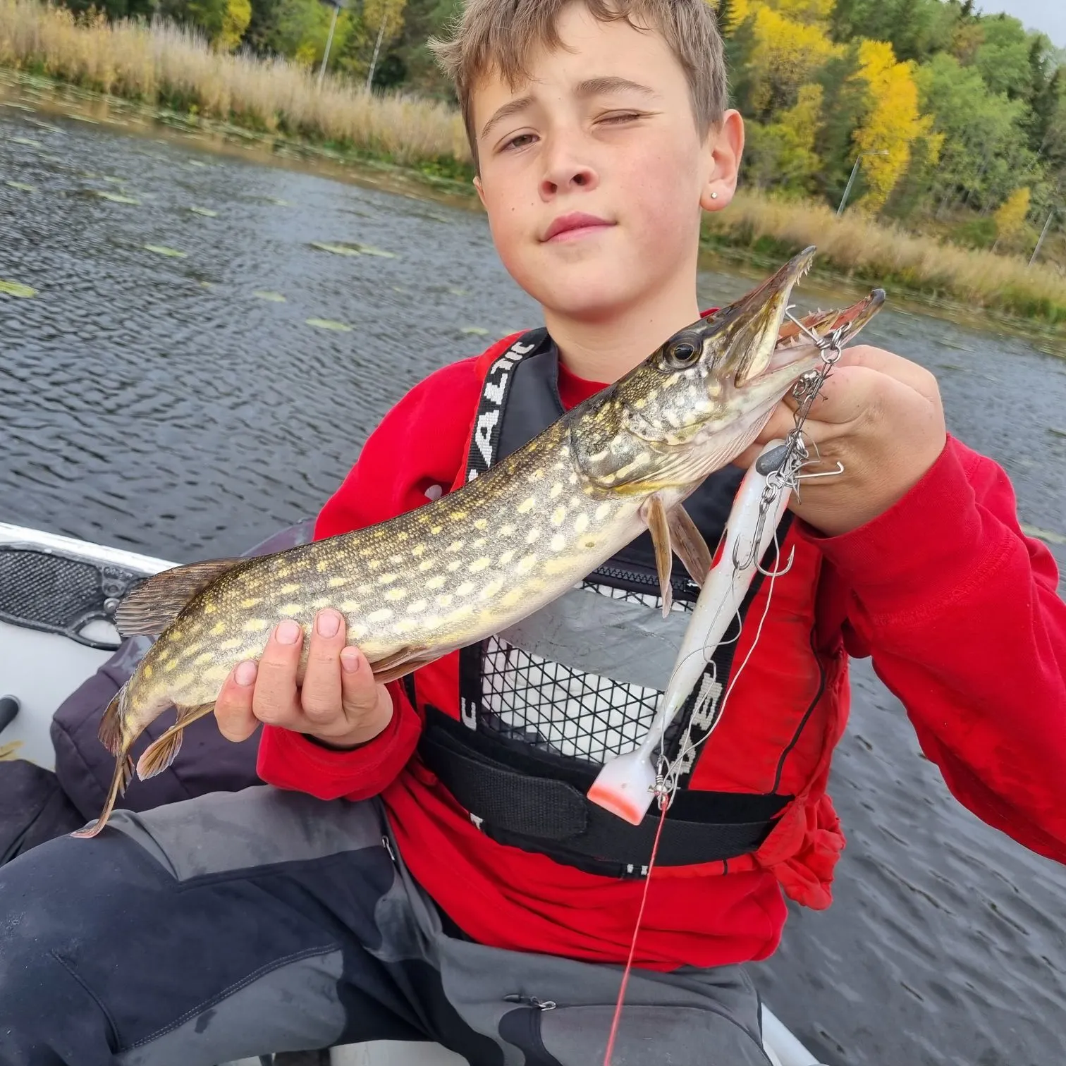 Northern pike caught on Fishbrain
