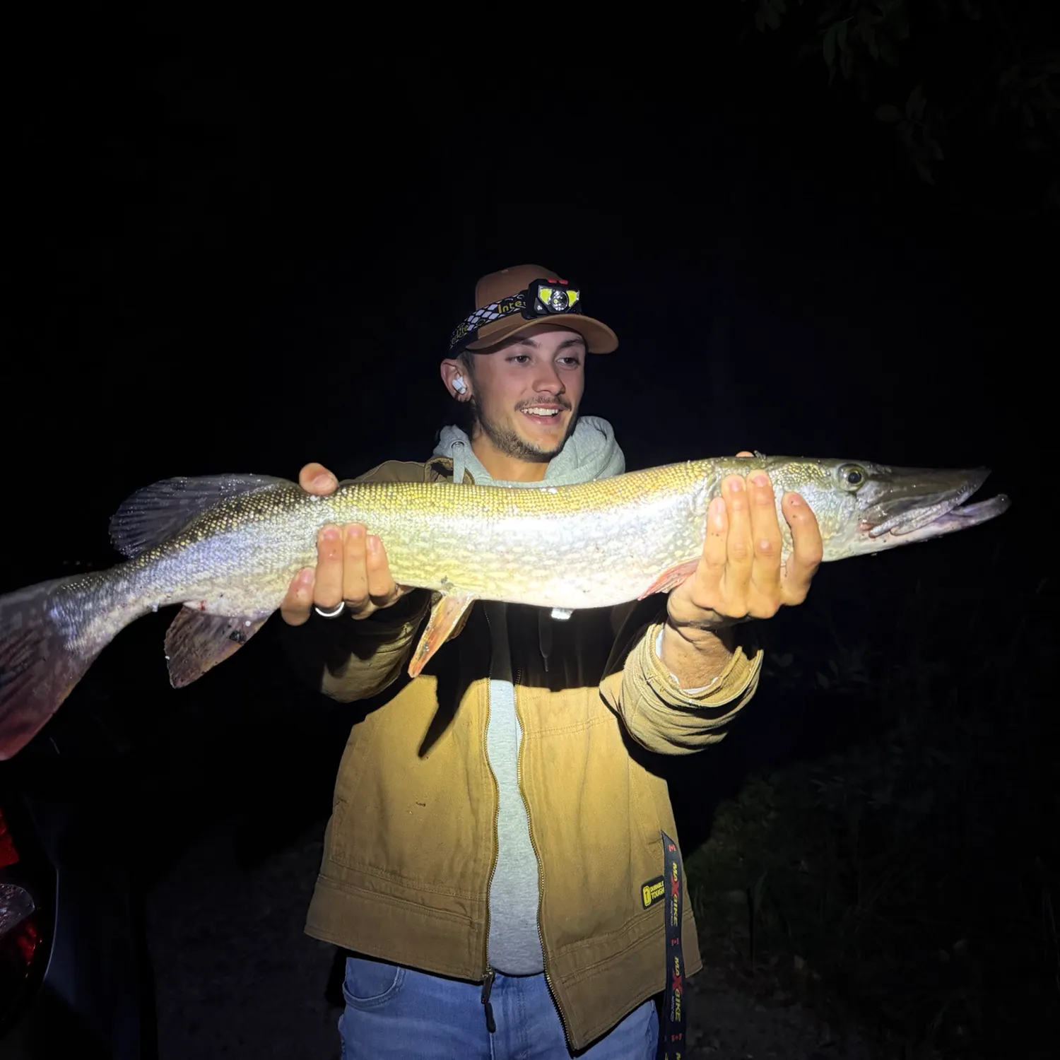 Northern pike caught on Fishbrain
