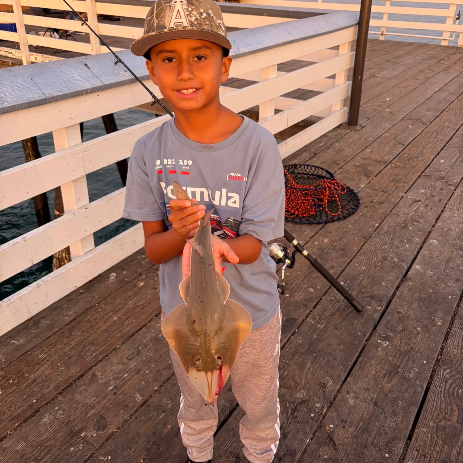 Pacific shovelnose guitarfish caught on Fishbrain