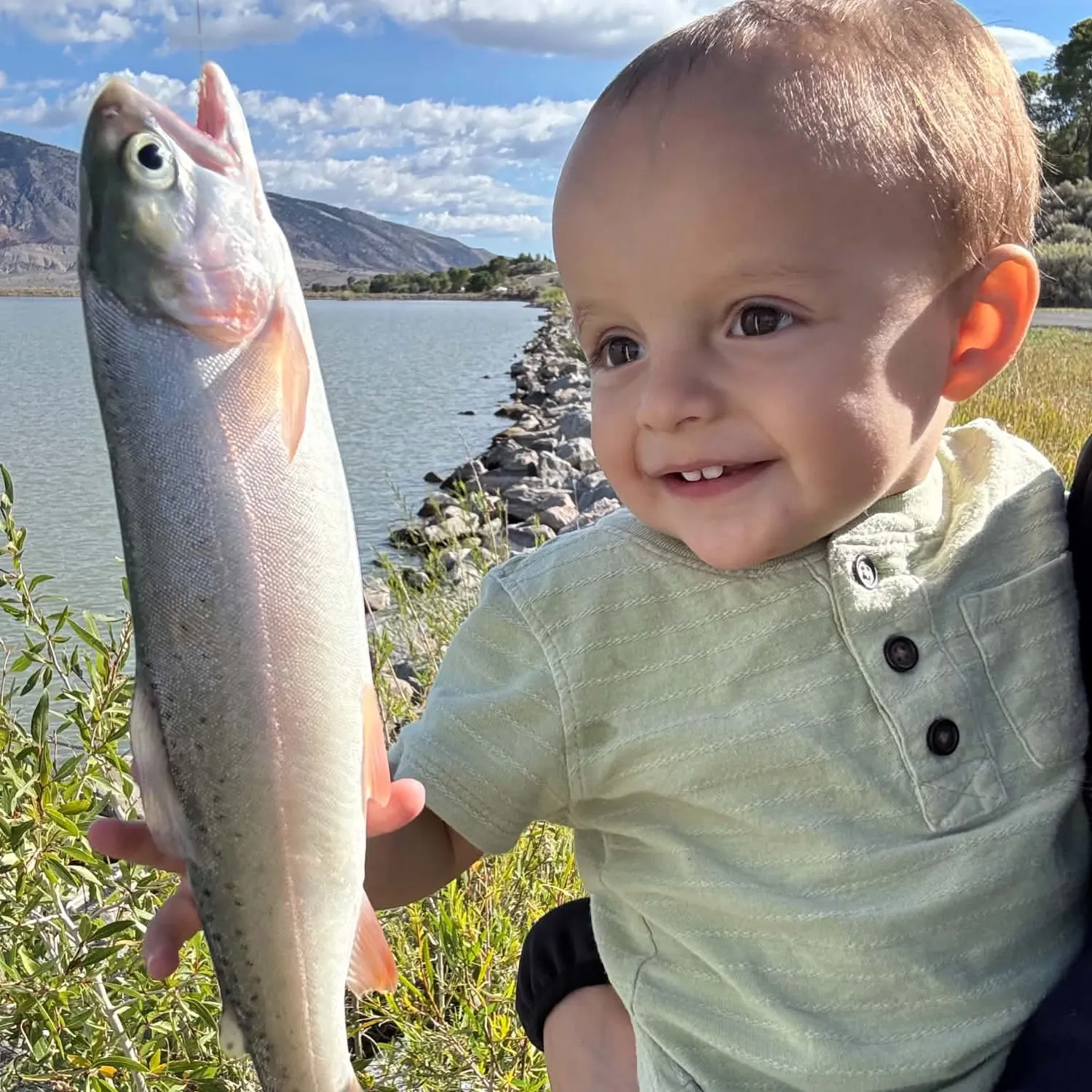 Rainbow trout caught on Fishbrain