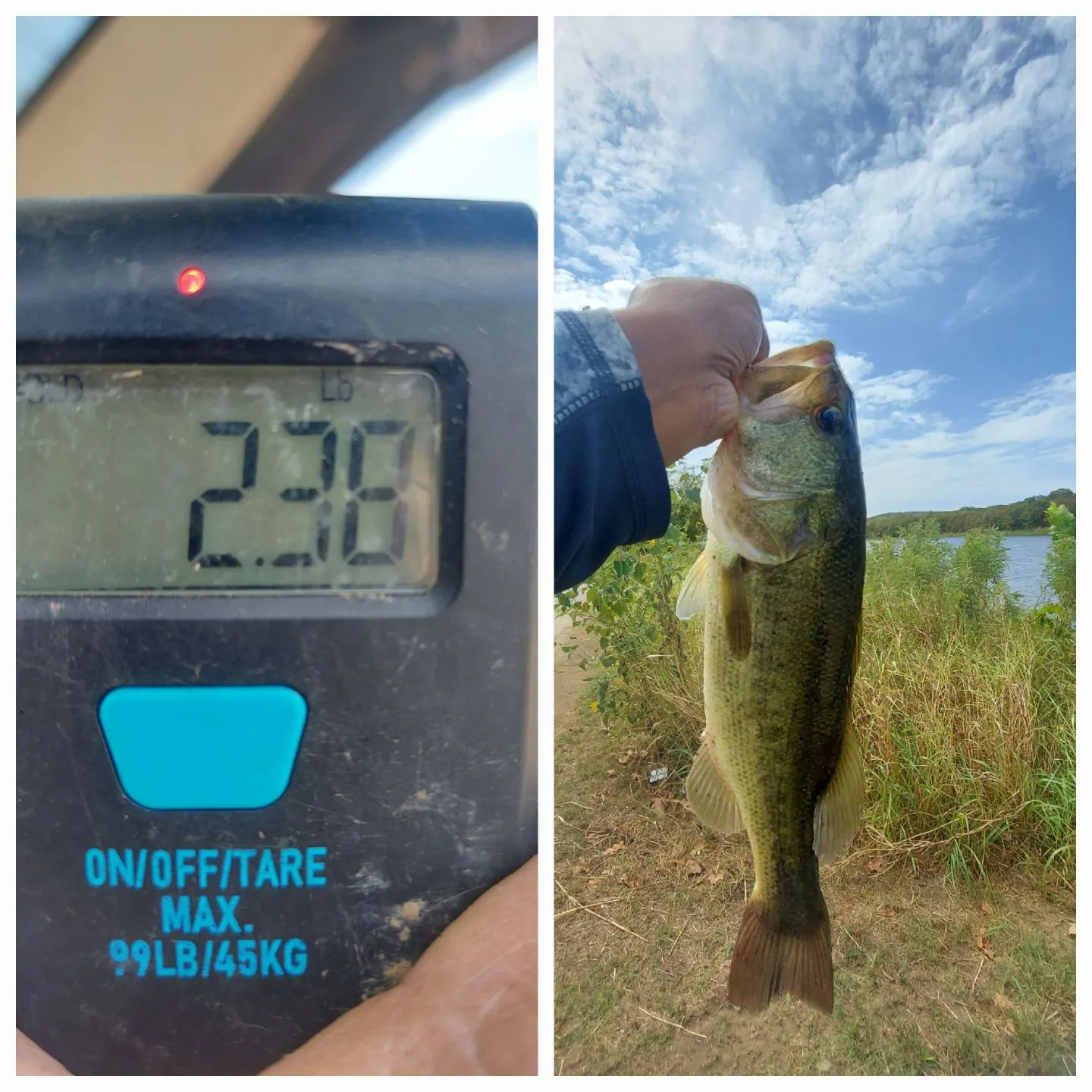 Largemouth bass caught on Fishbrain