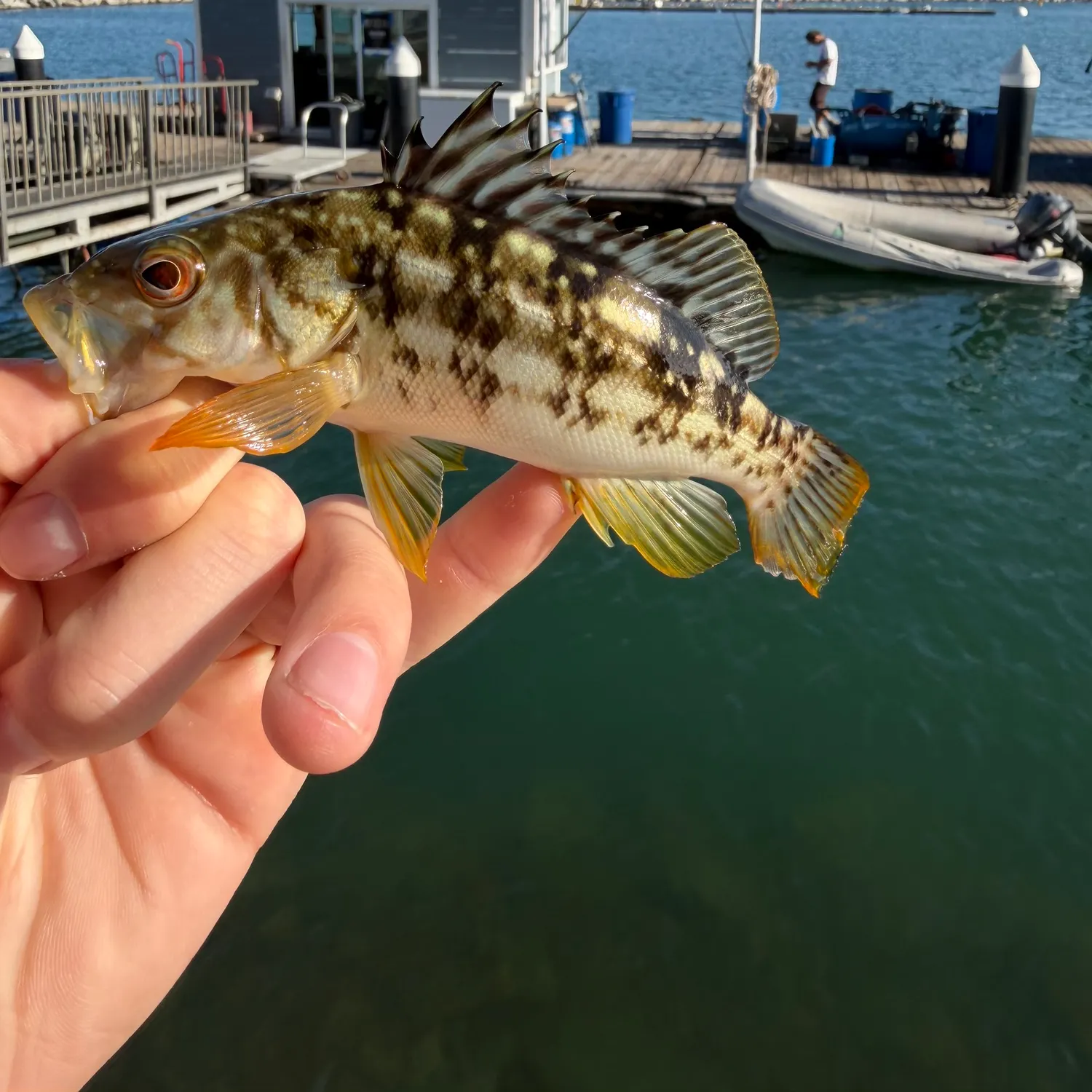 catch